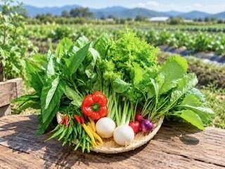 栽培中農薬化学肥料不使用】スタッフ厳選！獲れたて季節のこだわり野菜