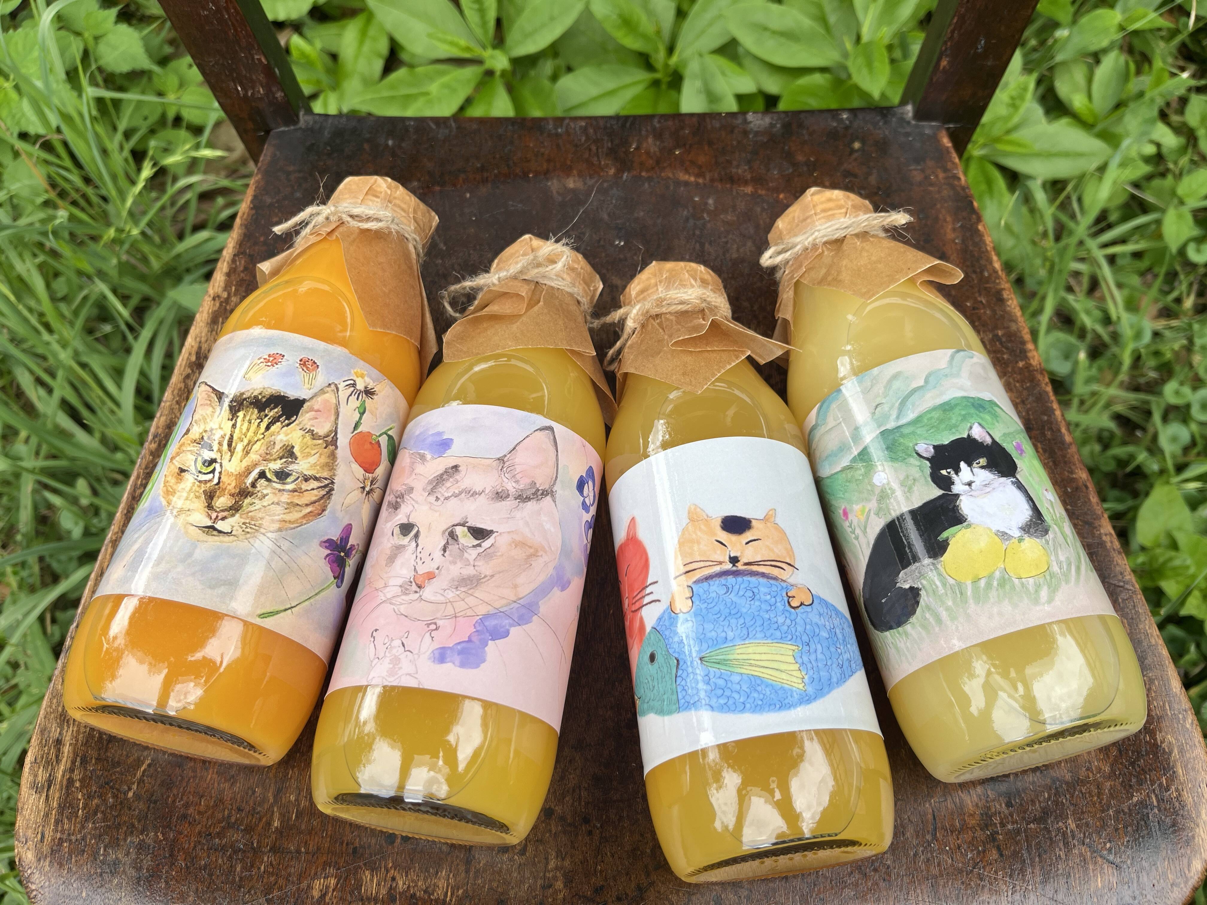 福袋2025】ねこ農園のジュースセット【青島.ニューサマー.八朔.甘夏