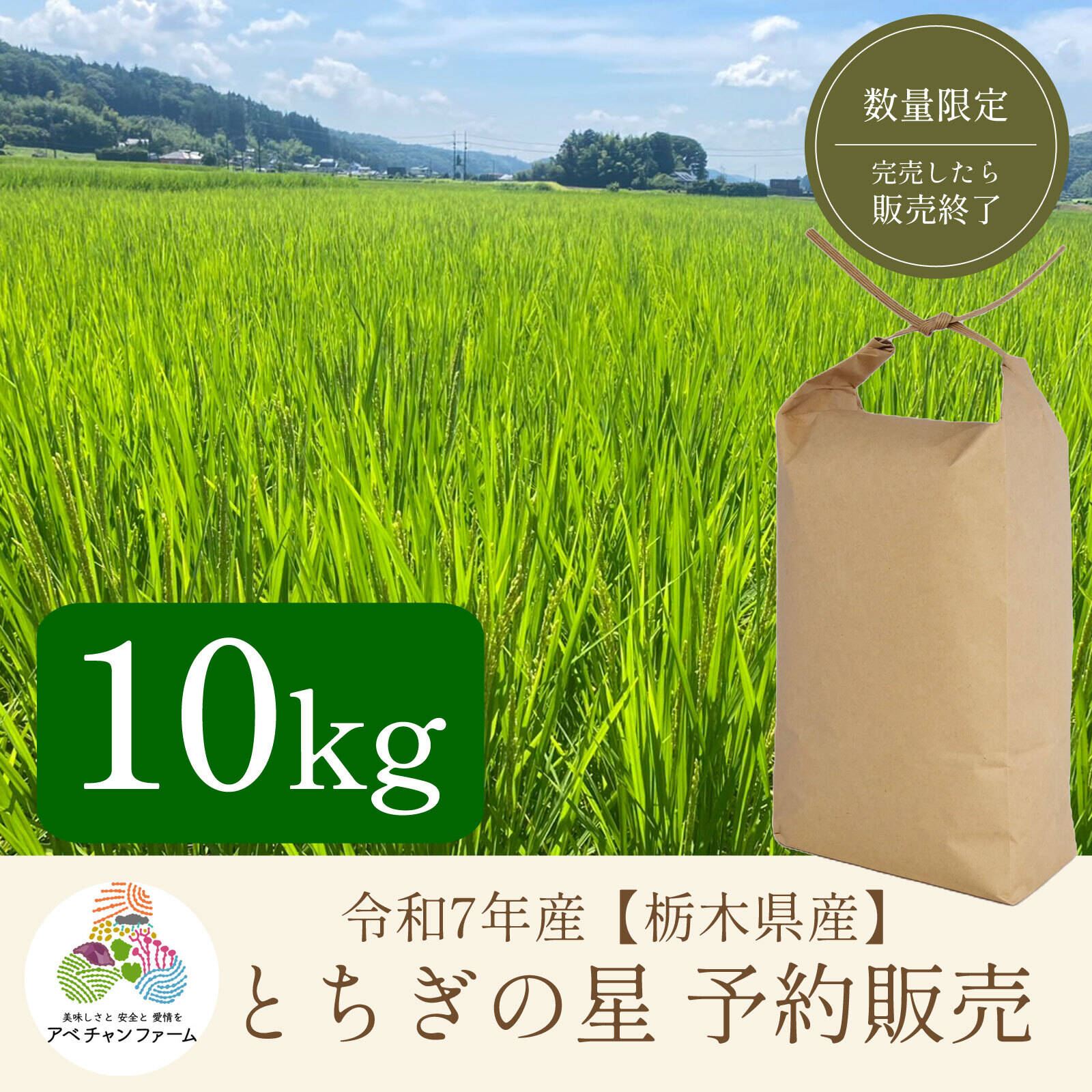令和4年産20kg『新米*とちぎの星』*無洗米*大嘗祭献上米 令和7年新米】とちぎの星(10kg)白米｜令和の大嘗祭献上米品種