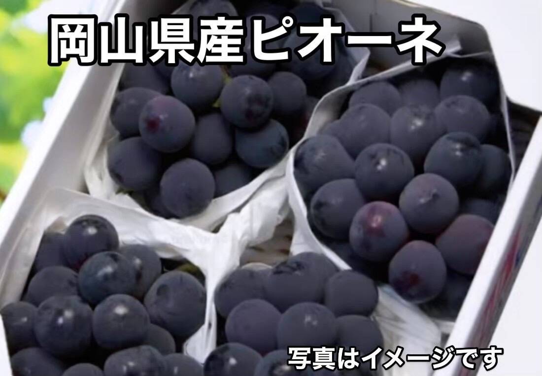 岡山県産ニューピオーネ 2房 ニューピオーネ 2房詰 岡山県産 9月上旬頃～10月上旬頃発送
