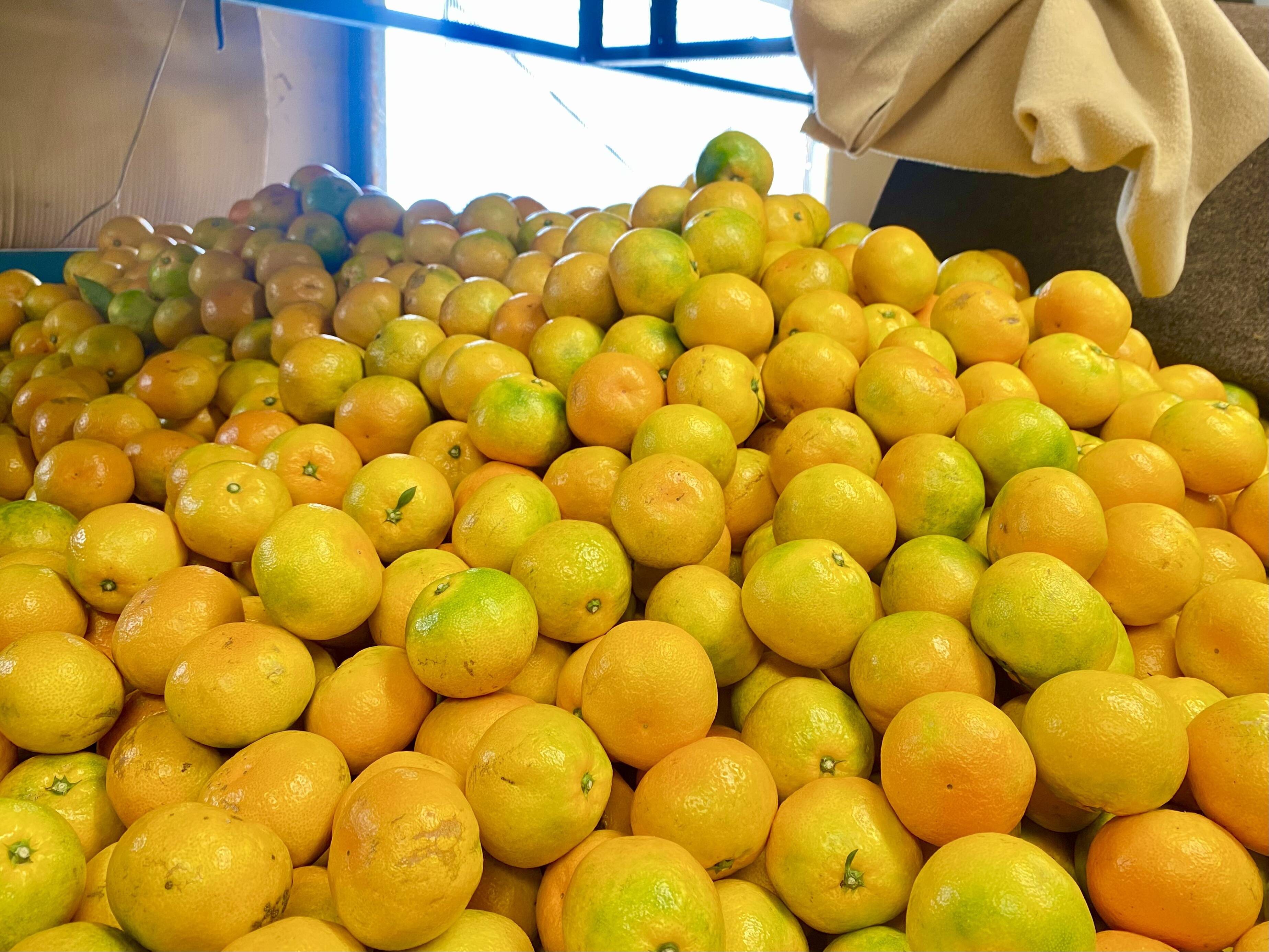 2025-2026 ゆら早生みかん登場！｜食べチョク｜産地直送(産直)お