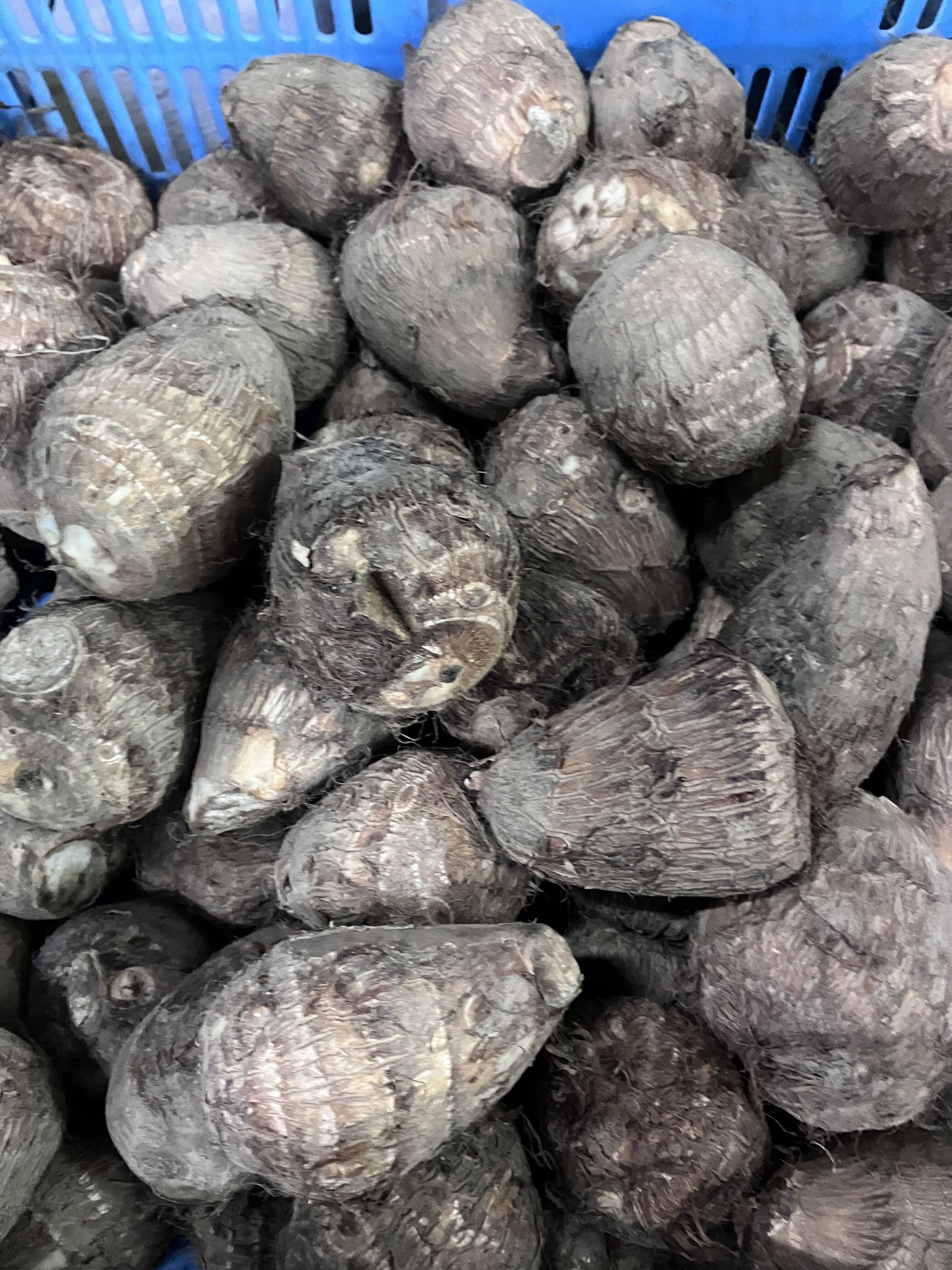 ee7b136ef5aecc6db29caff52b1cd2