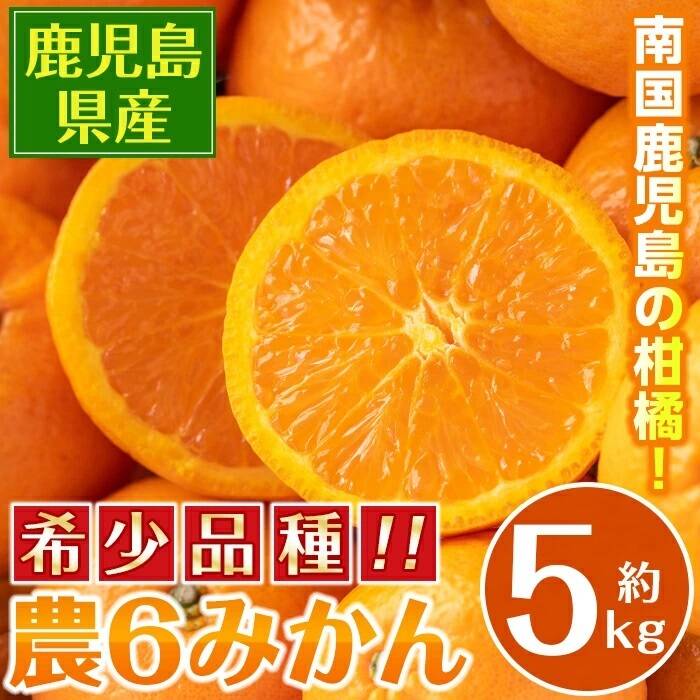 【半額】 かんきつ中間母本農6号(のうろくみかん)約5K サイズ：おまかせ 米・雑穀・粉類