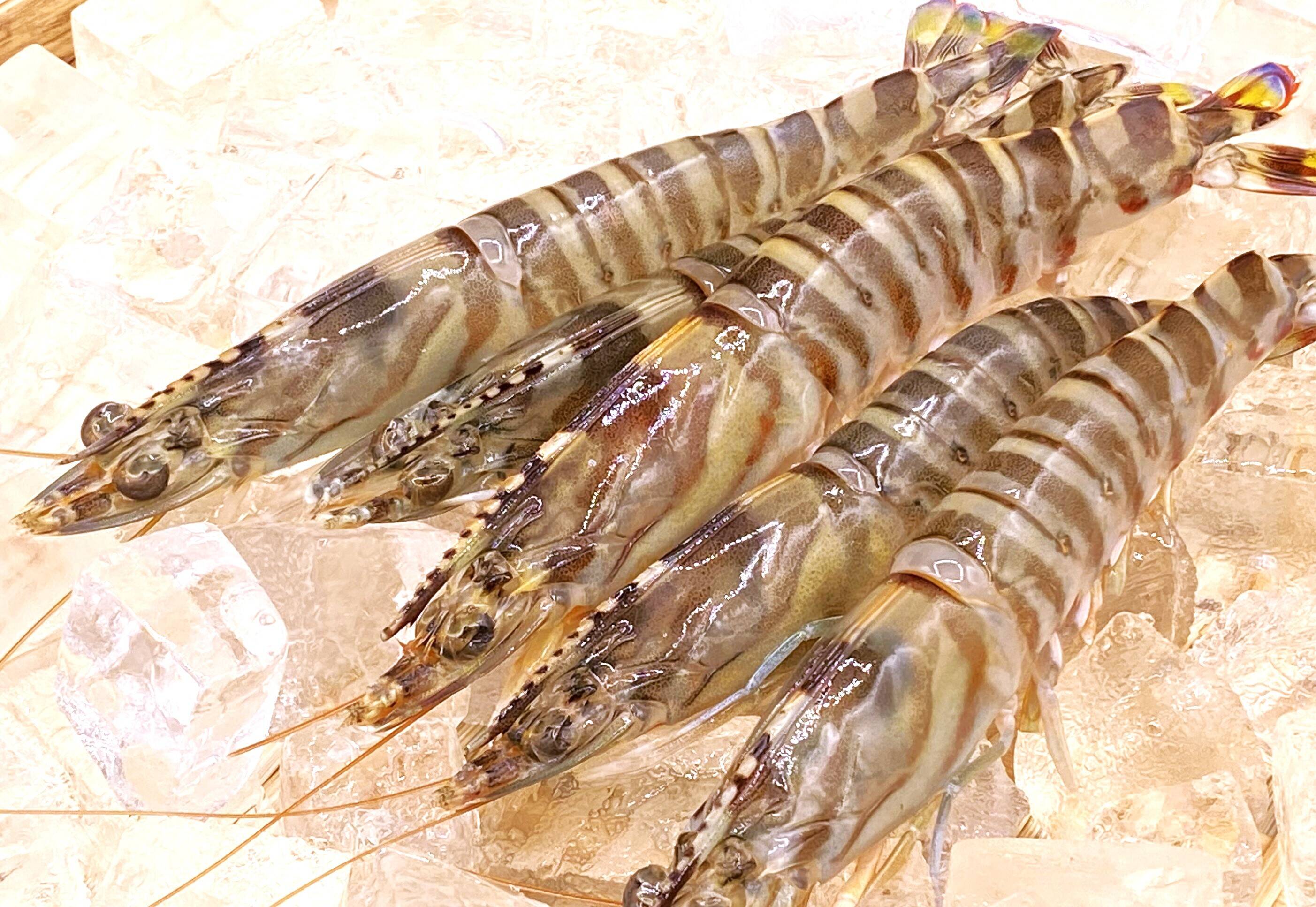 ef5c391ad6c1daee203060bca9b245