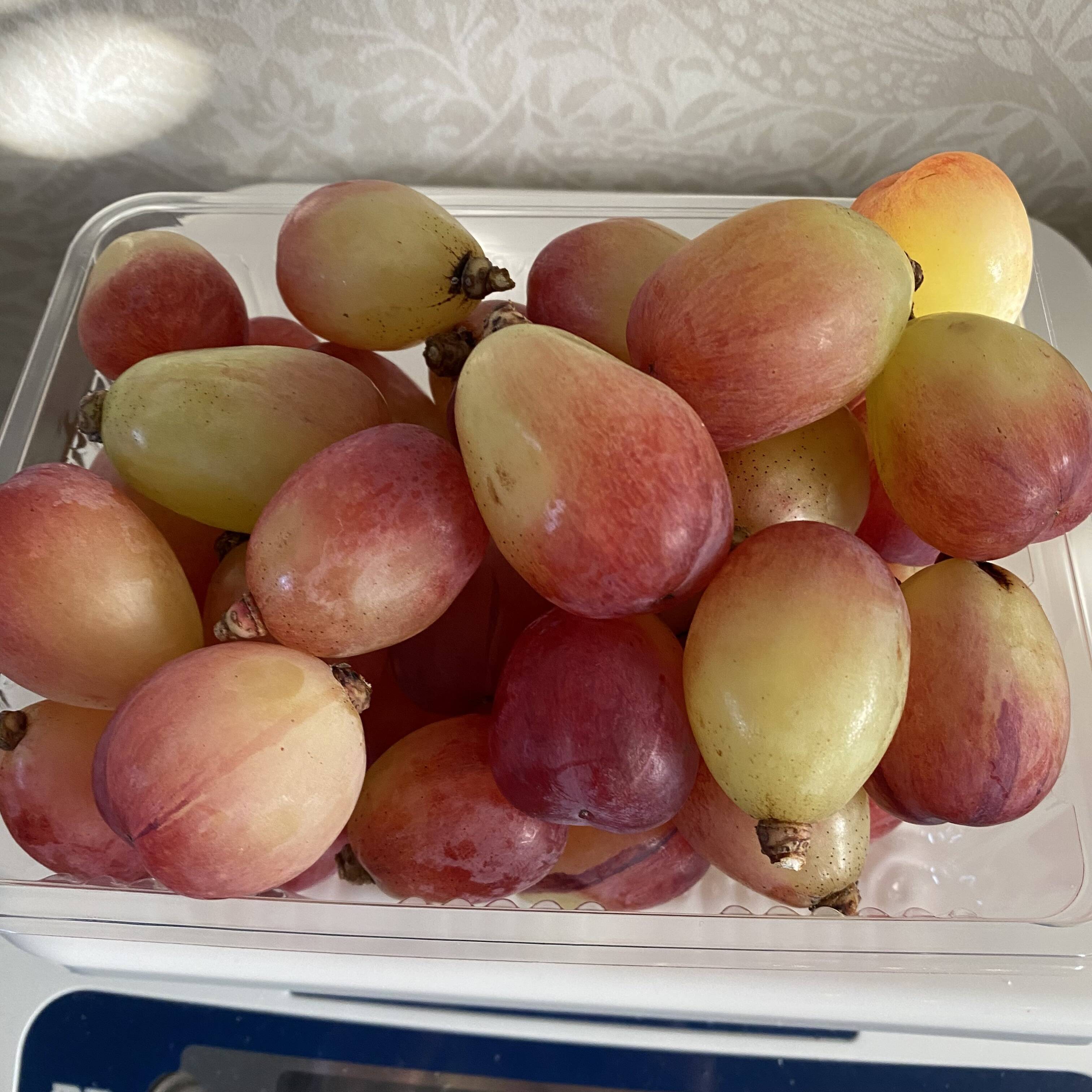 食べ比べ♡マイハート♡バイオレットキング♡つぶつぶパック1キロ