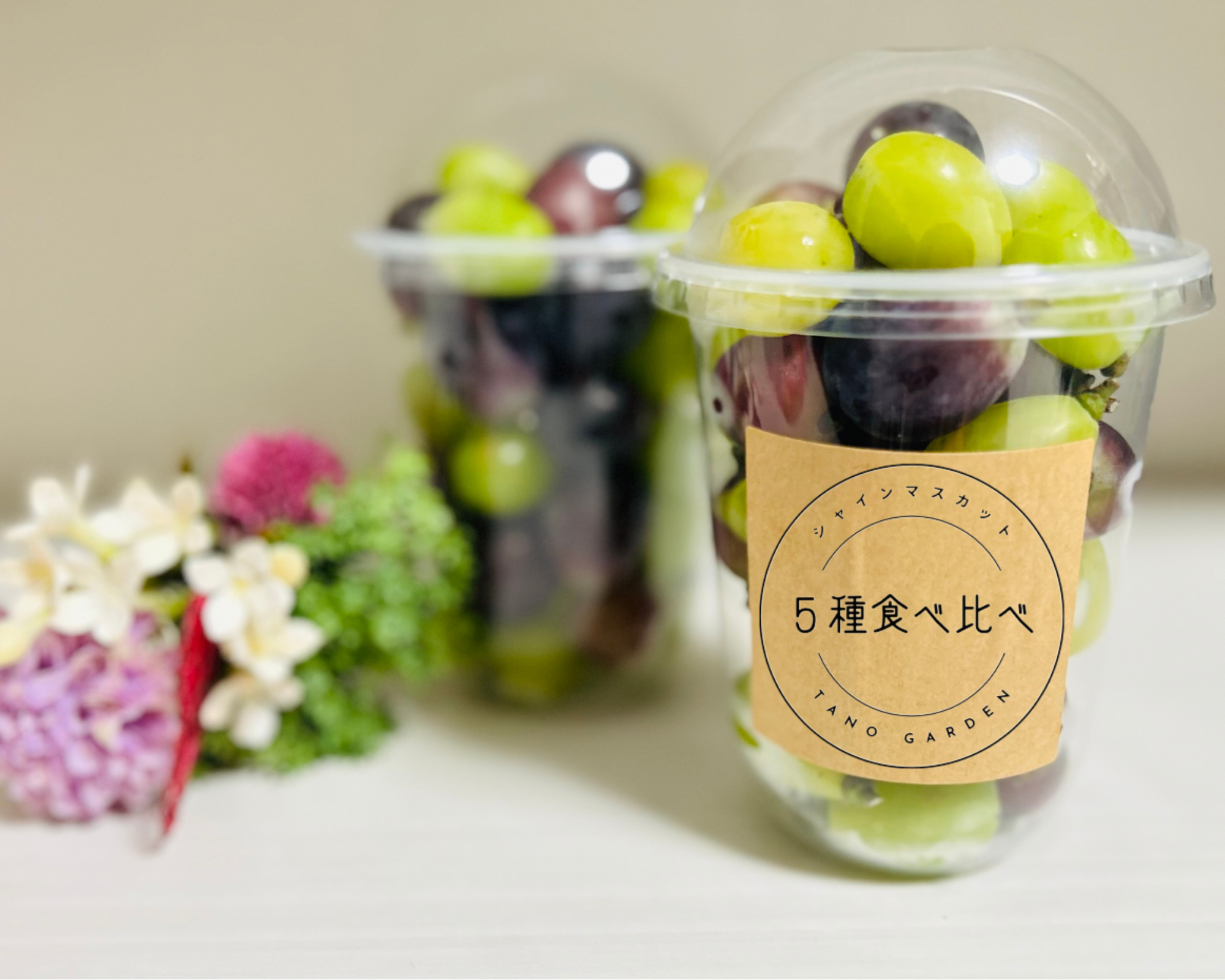 ぶどう ぶどう 2025年度分 先行予約 【プレミアムシャインマスカット 晴