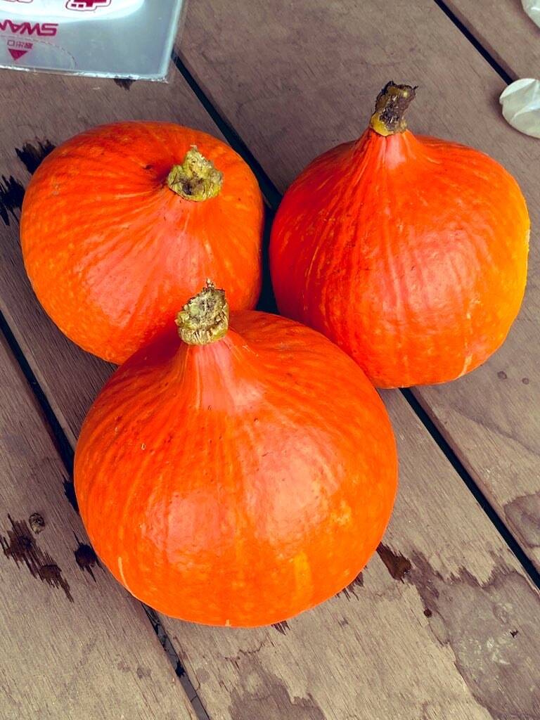 3玉 約5kg】八ヶ岳西麓産 農薬化学肥料不使用 『打木赤皮甘栗