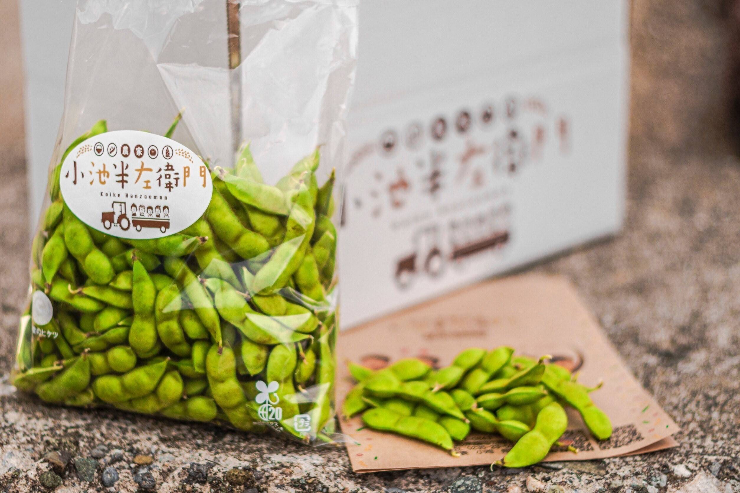 夏ギフト】やみつき不可避！朝どれ『だだちゃ豆【白山】』500g×2p