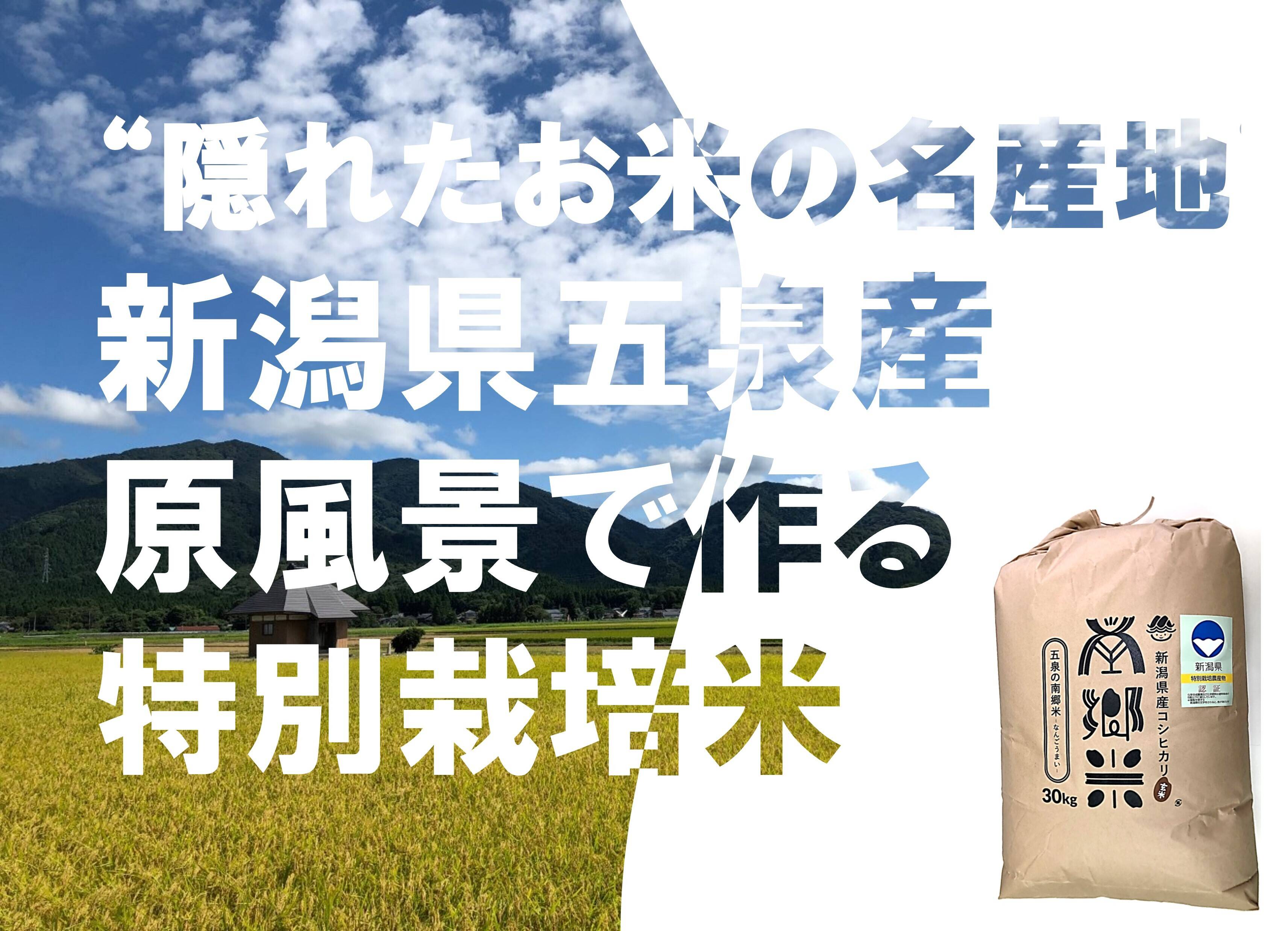 令和2年 新米 庄原市高野町米 コシヒカリ 30kg - 食品