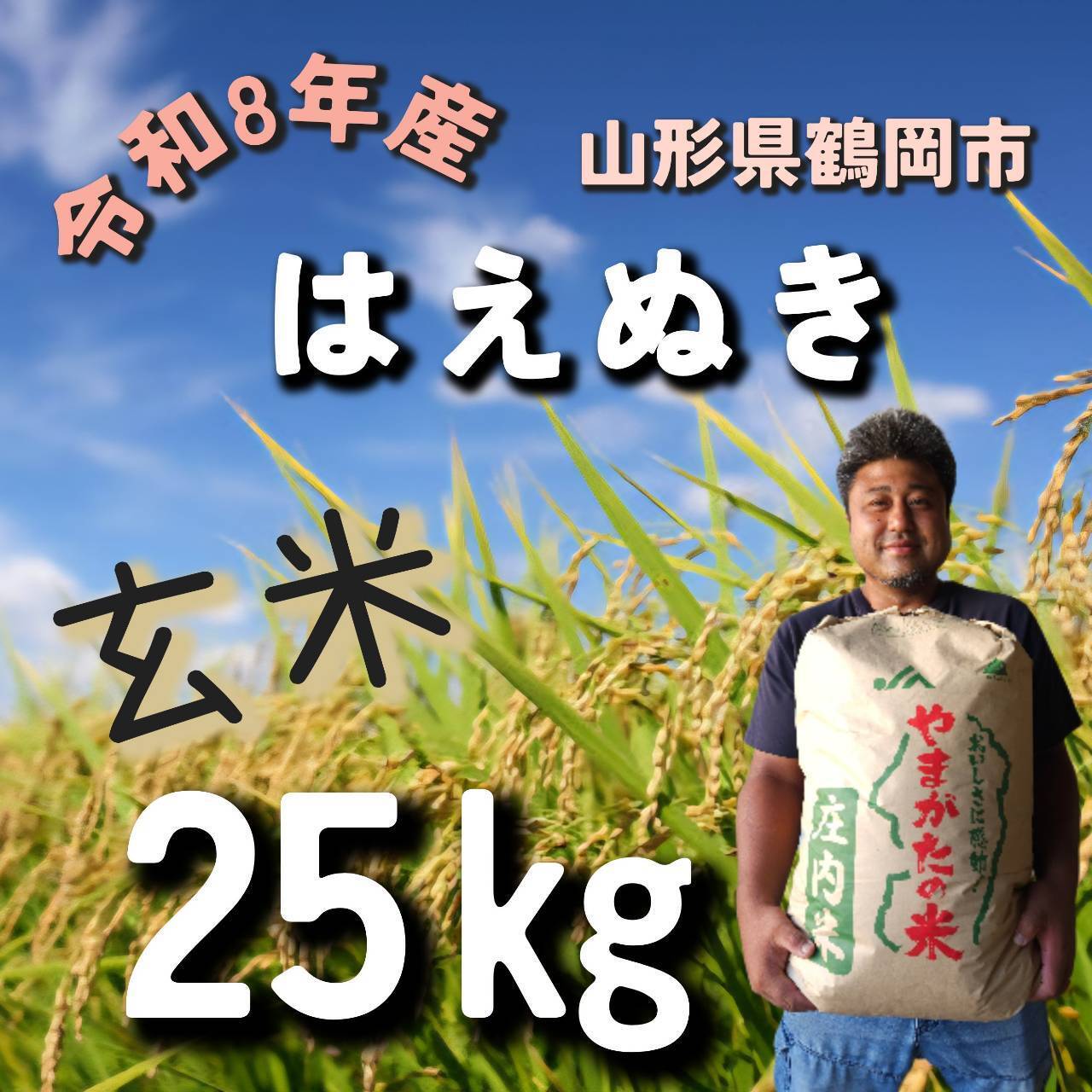 令和8年産 庄内米｢はえぬき｣ 玄米25㎏ 山形県鶴岡市産：山形県産のお米