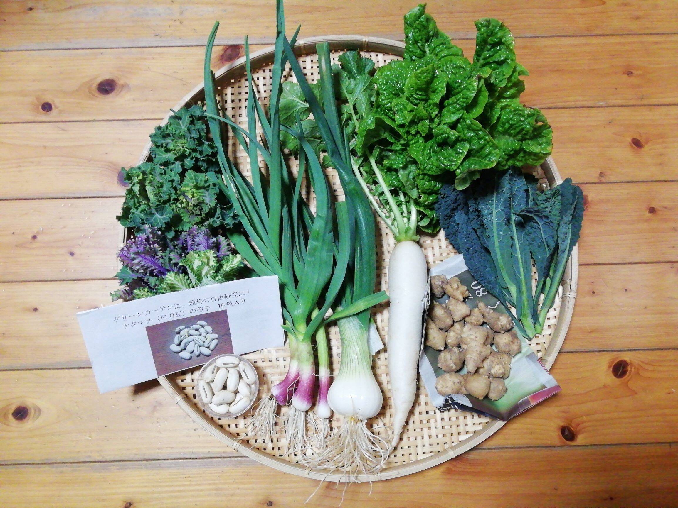 農薬 化学肥料不使用 野菜セット グリーンカーテン用ナタマメ種子付き 栽培説明書付き ５ ７種類の野菜 ８０サイズ箱 愛媛県産 食べチョク 農家 漁師の産直ネット通販 旬の食材を生産者直送