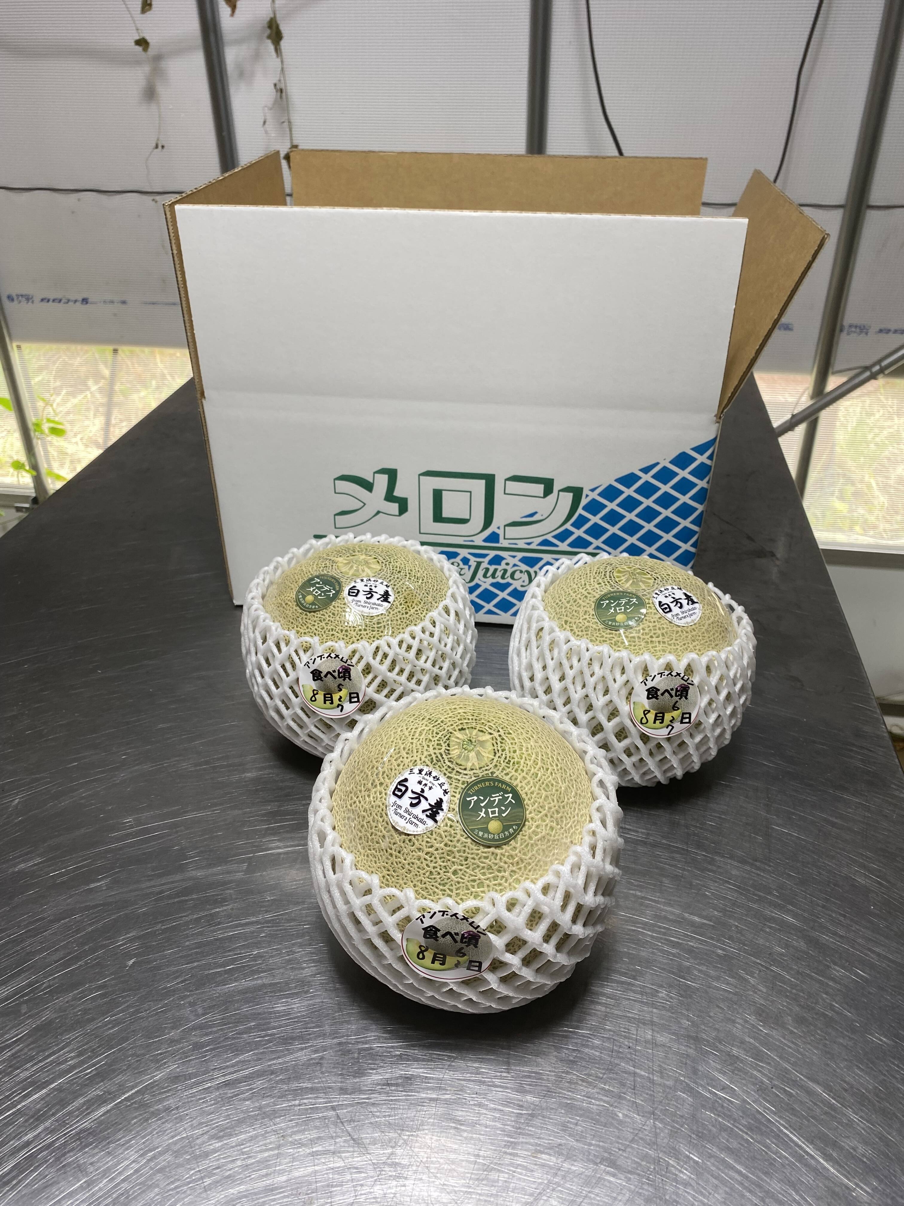 ジューシィー様 リクエスト 3点 まとめ商品 juicy様 リクエスト 2点 