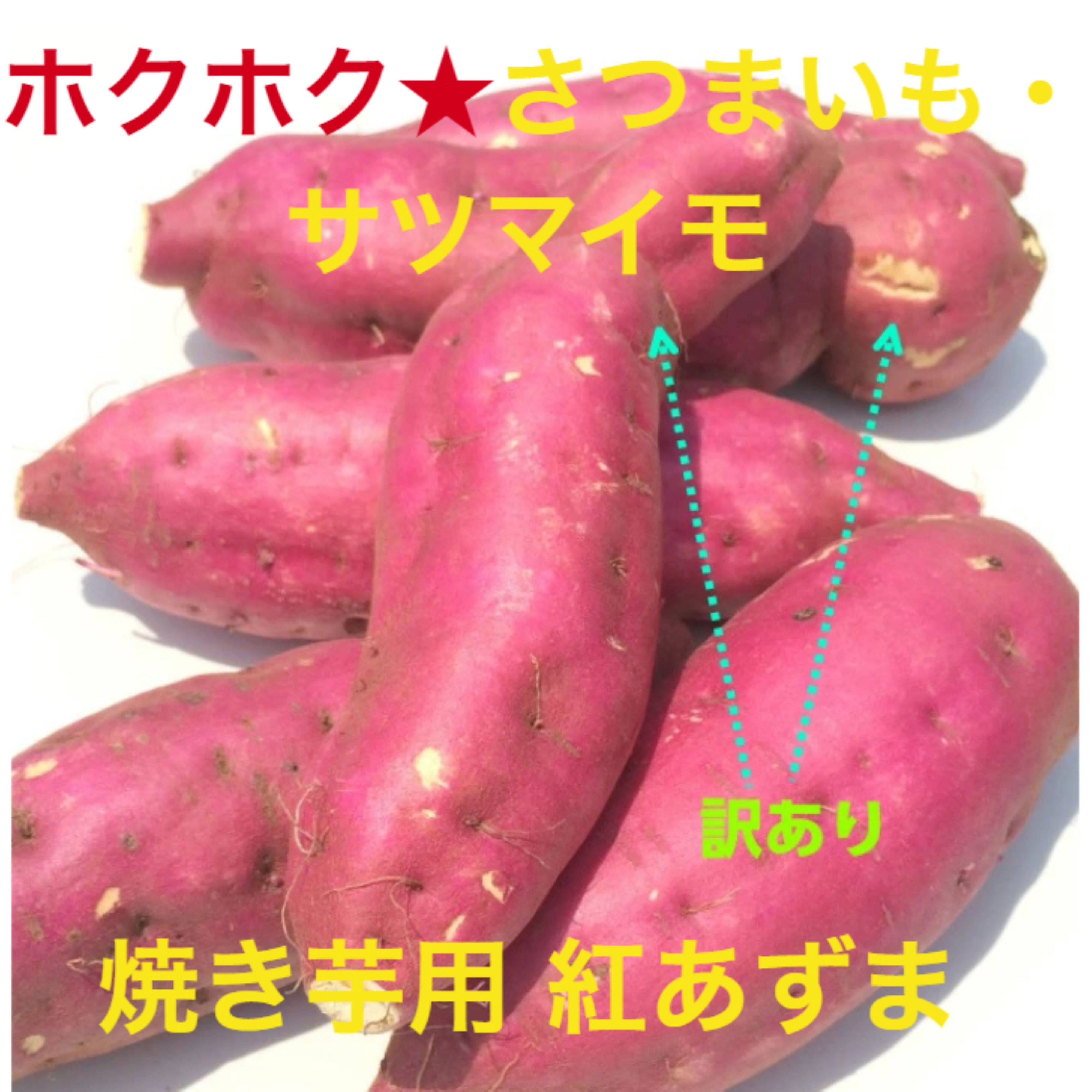 紅あずま10Kg箱 さつまいも ホクホク食感千葉県産 訳あり2Ｓ ~Lサイズ 熟成済【土付き】