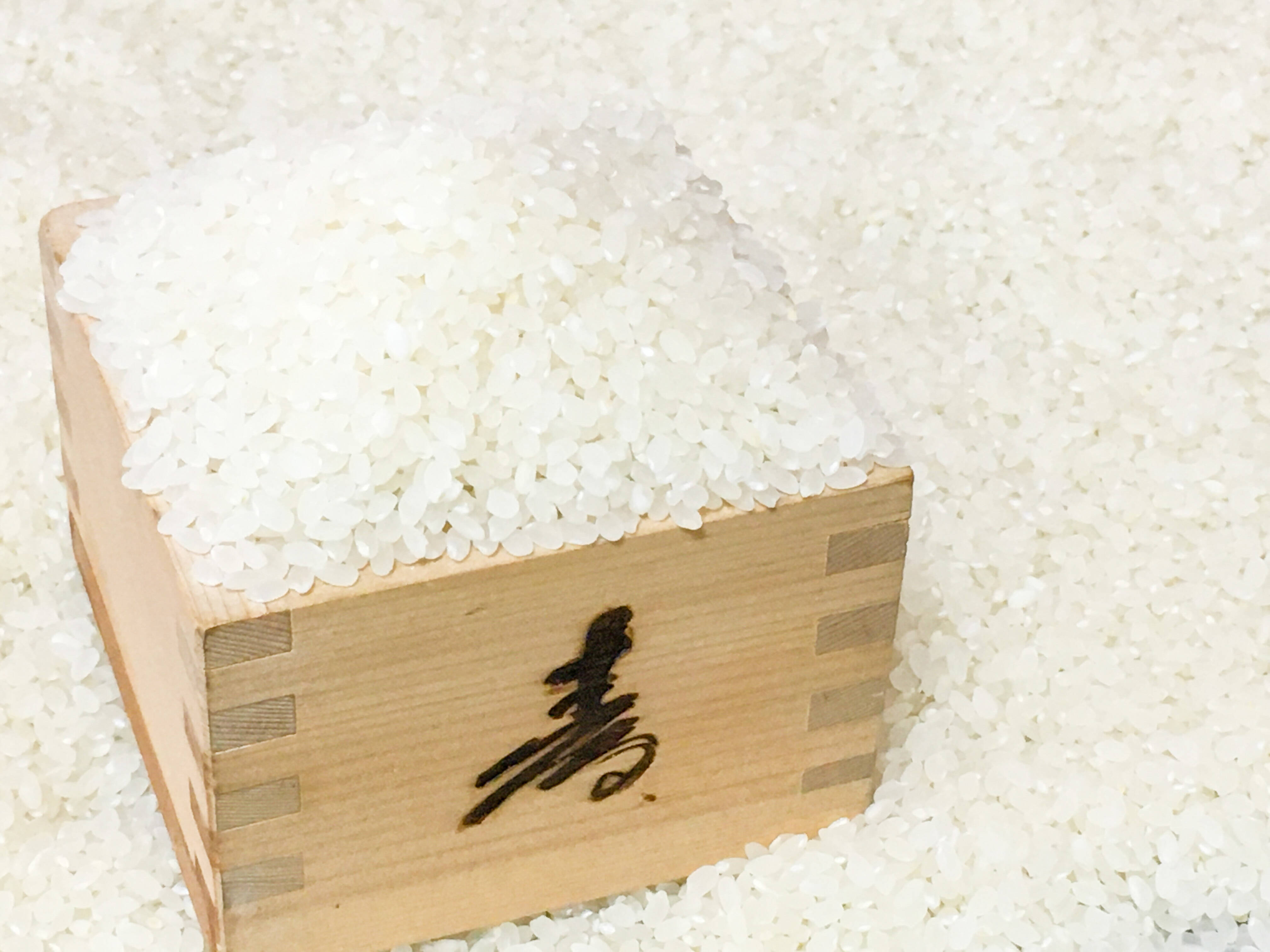 コシヒカリ 白米 10キロ　令和4年産　箱なし 京都府産 　特別栽培米