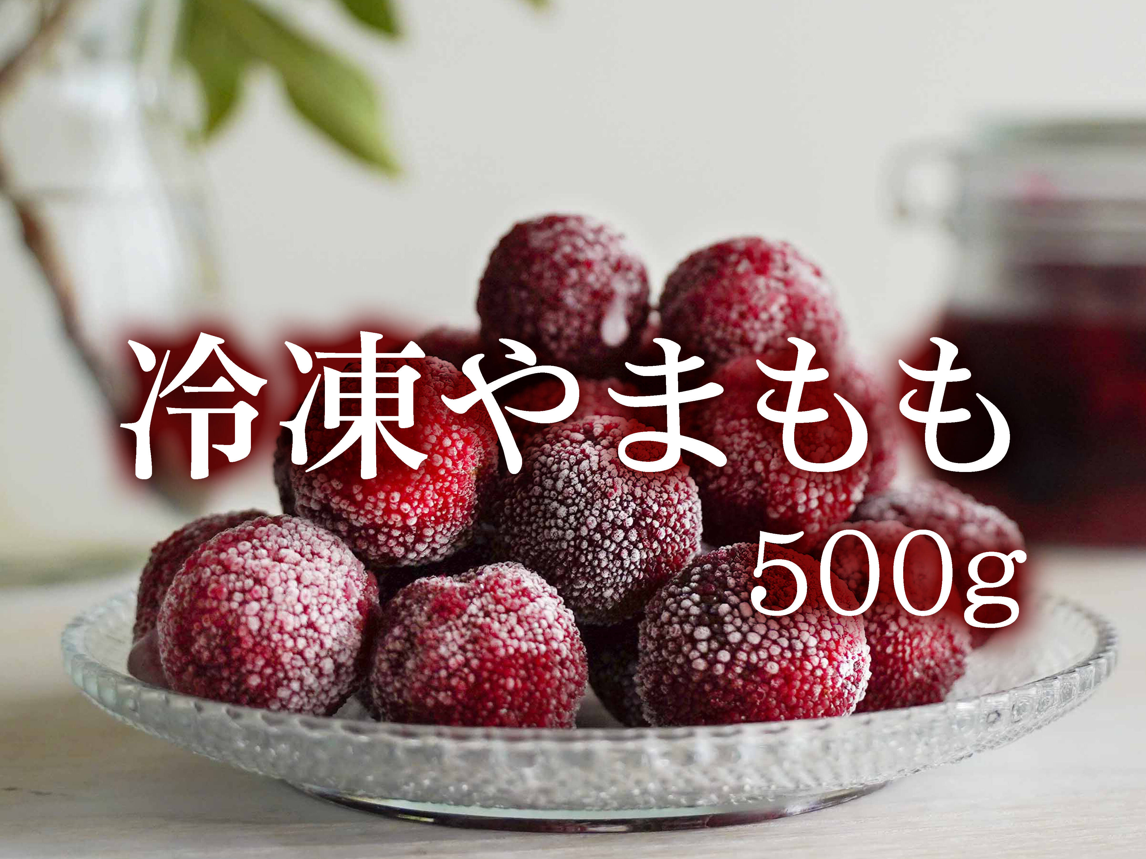 収穫期限定】冷凍やまもも 秀(500g） ヤマモモシロップづくりに