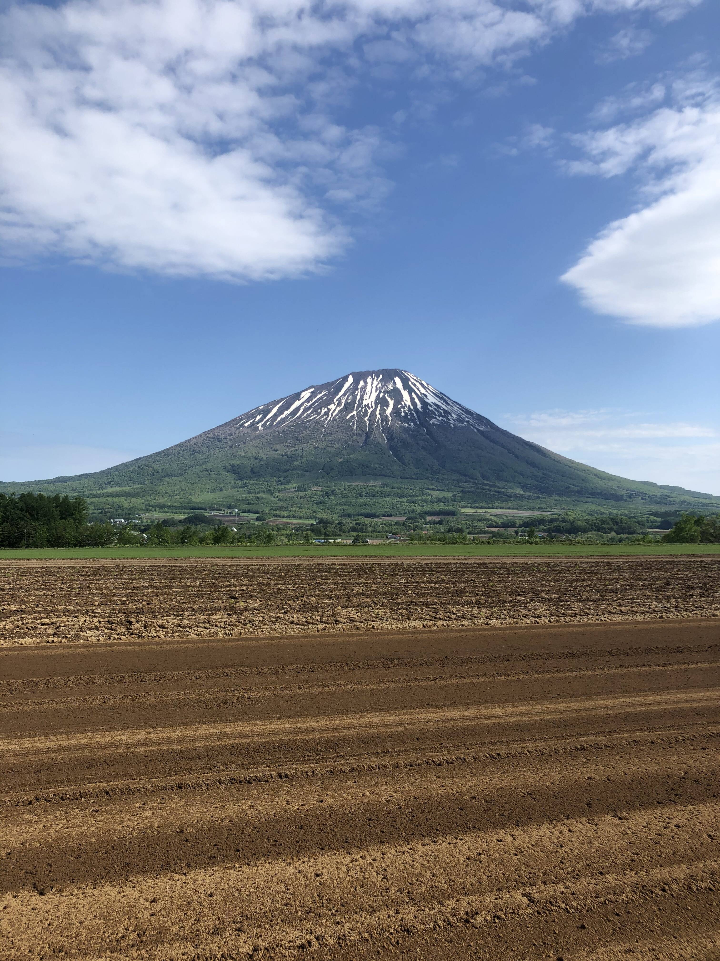 石村ファームへのレビュー・商品：北海道｜食べチョク｜産地直送(産直)お取り寄せ通販 農家・漁師から旬の食材を直送