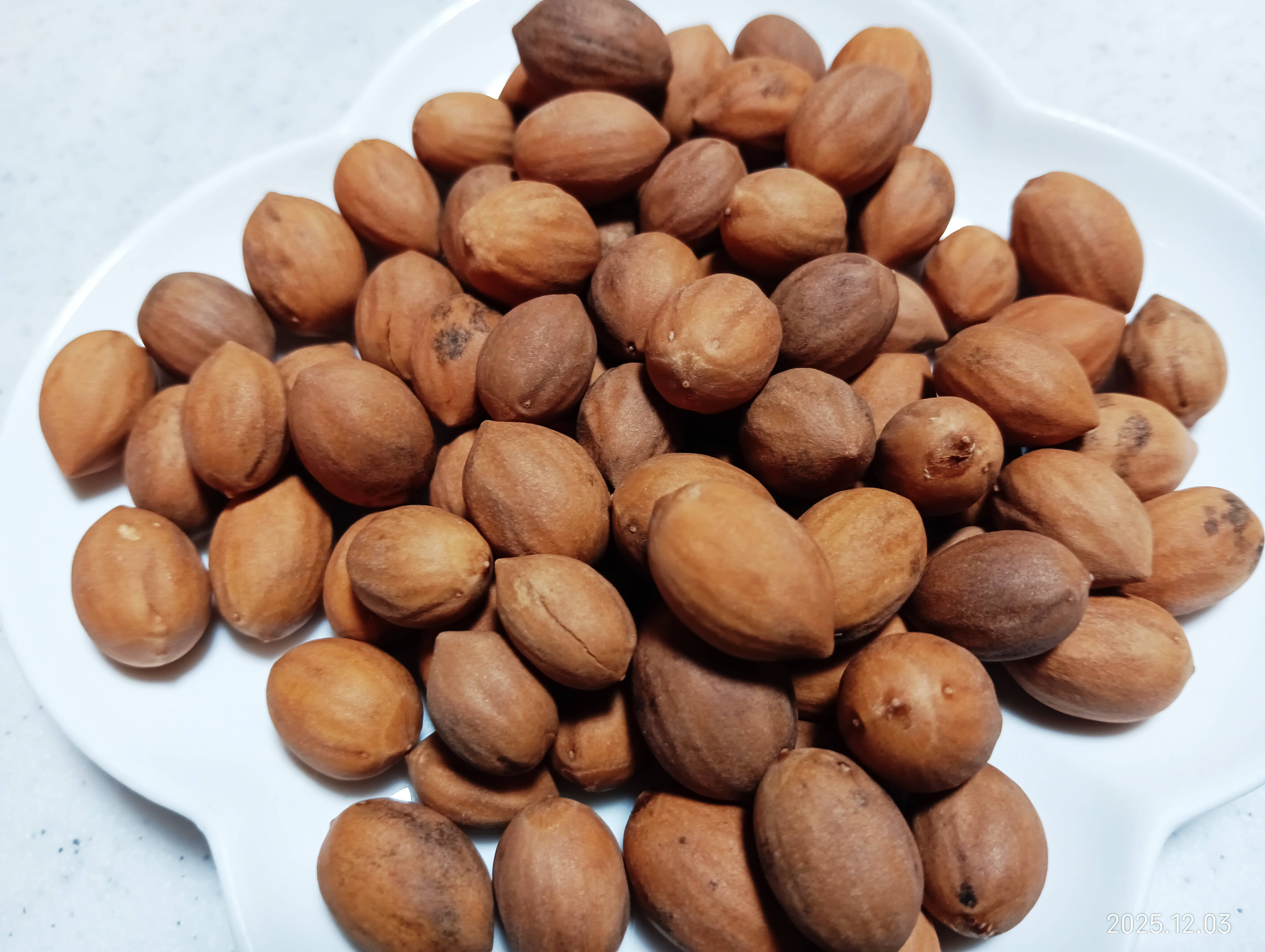 数量限定 縁起物】榧（かや）の実 漢方 和製アーモンド 自然栽培