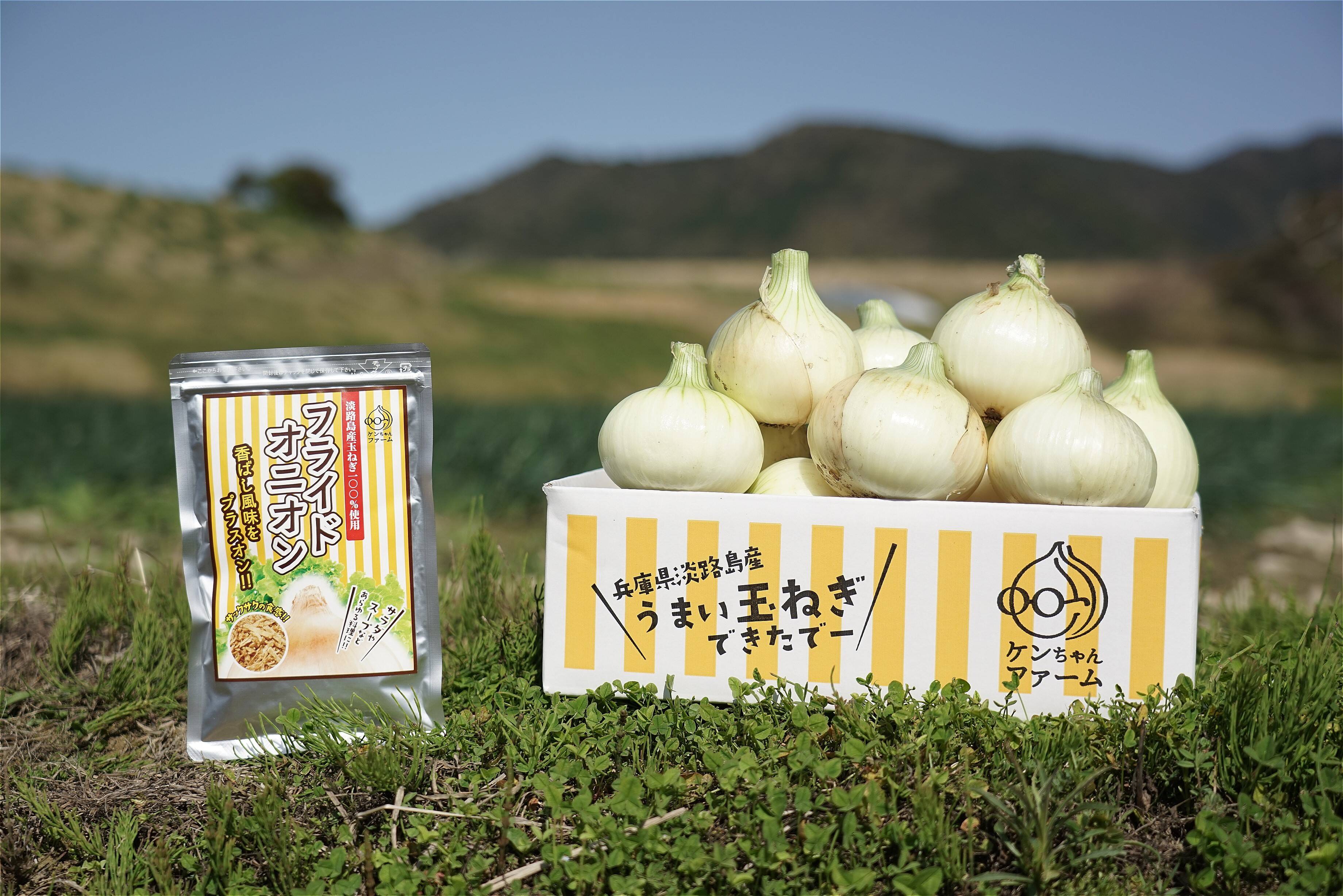 淡路島新たまねぎ「早生種」5kg&「フライドオニオン」セット：兵庫県