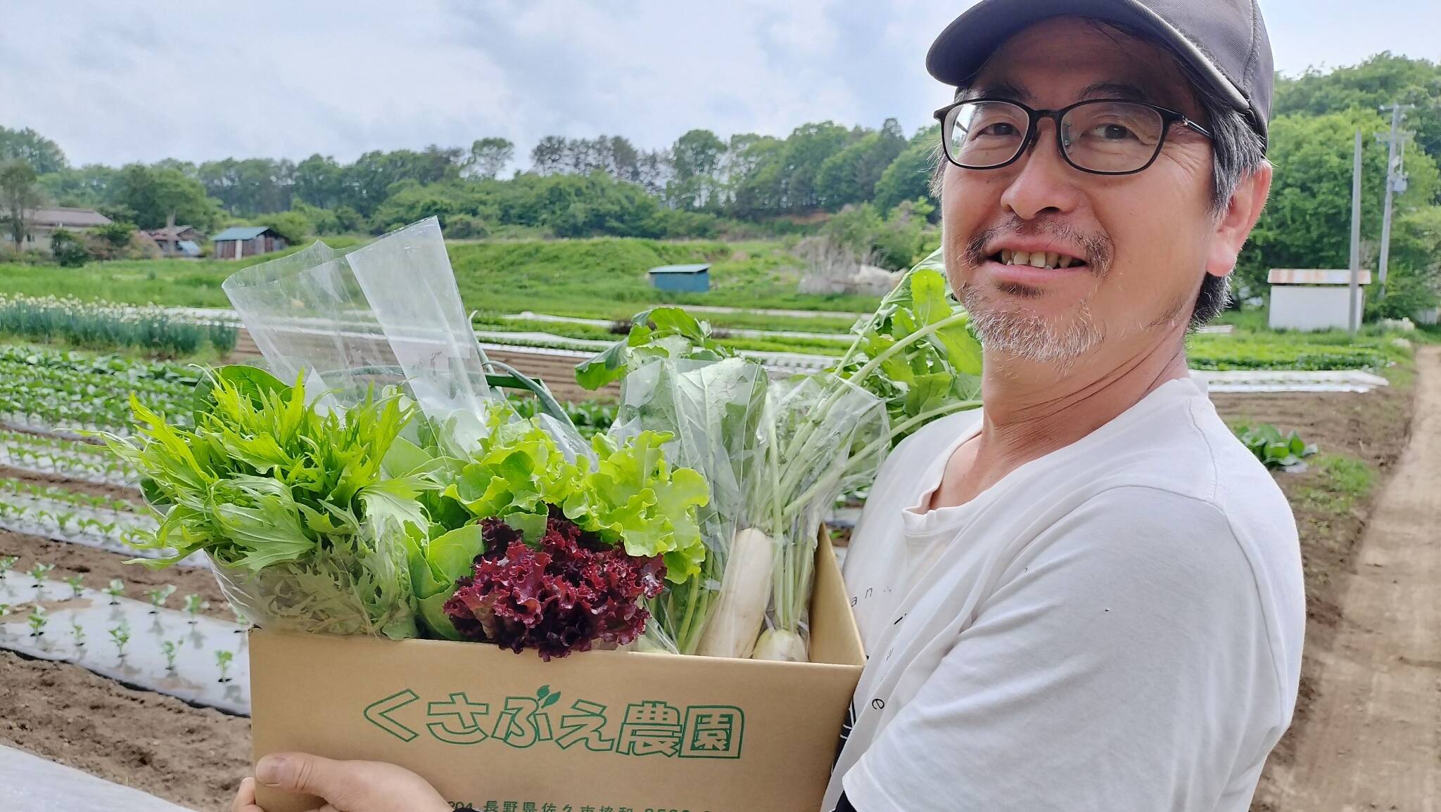 メグロン☆様　野菜セット特盛 普段使いの野菜が美味しい！高原野菜セット（7～8品目）：長野県産の