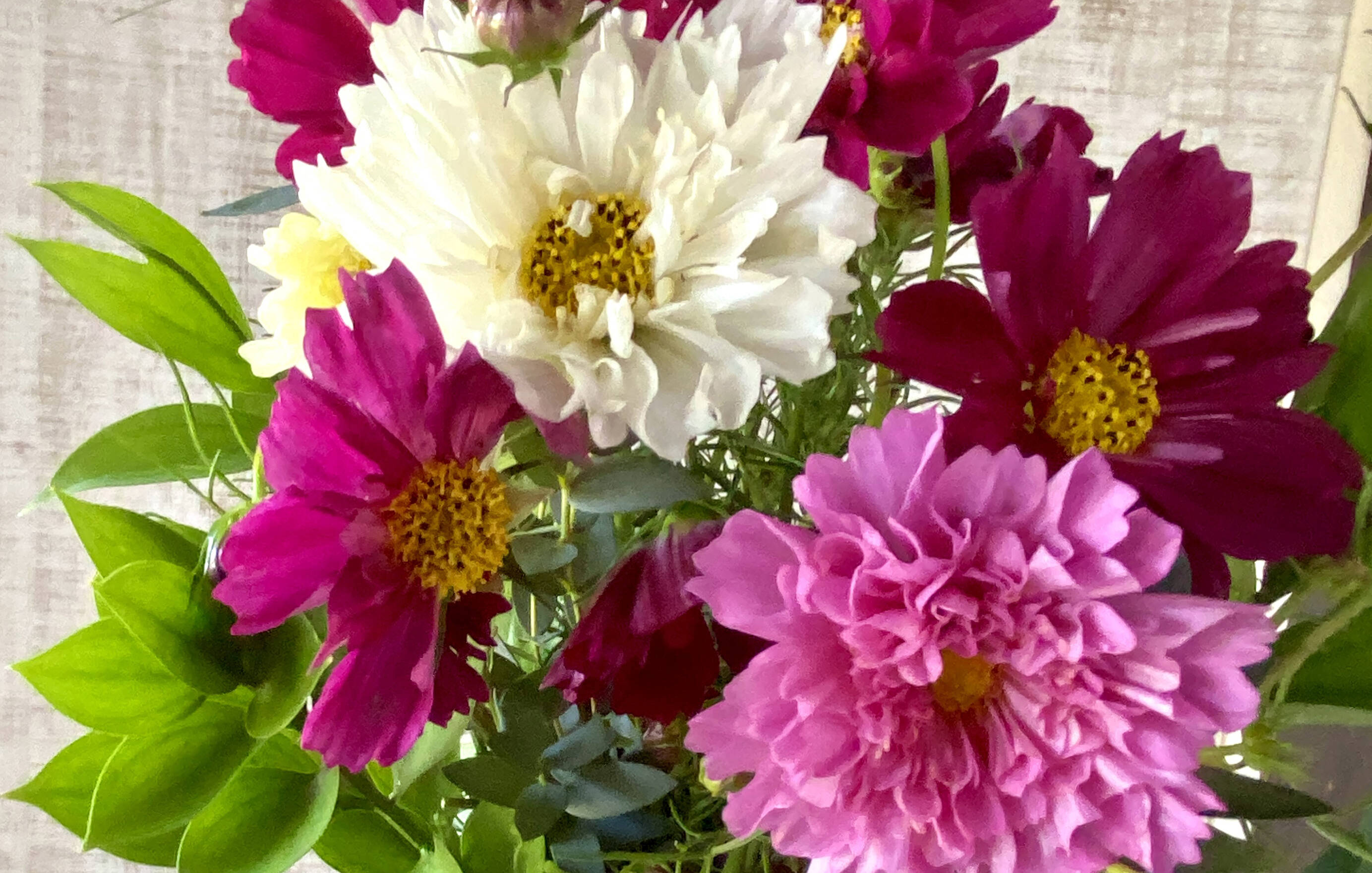 f1334f940e13909bae71ecf0fd73d4