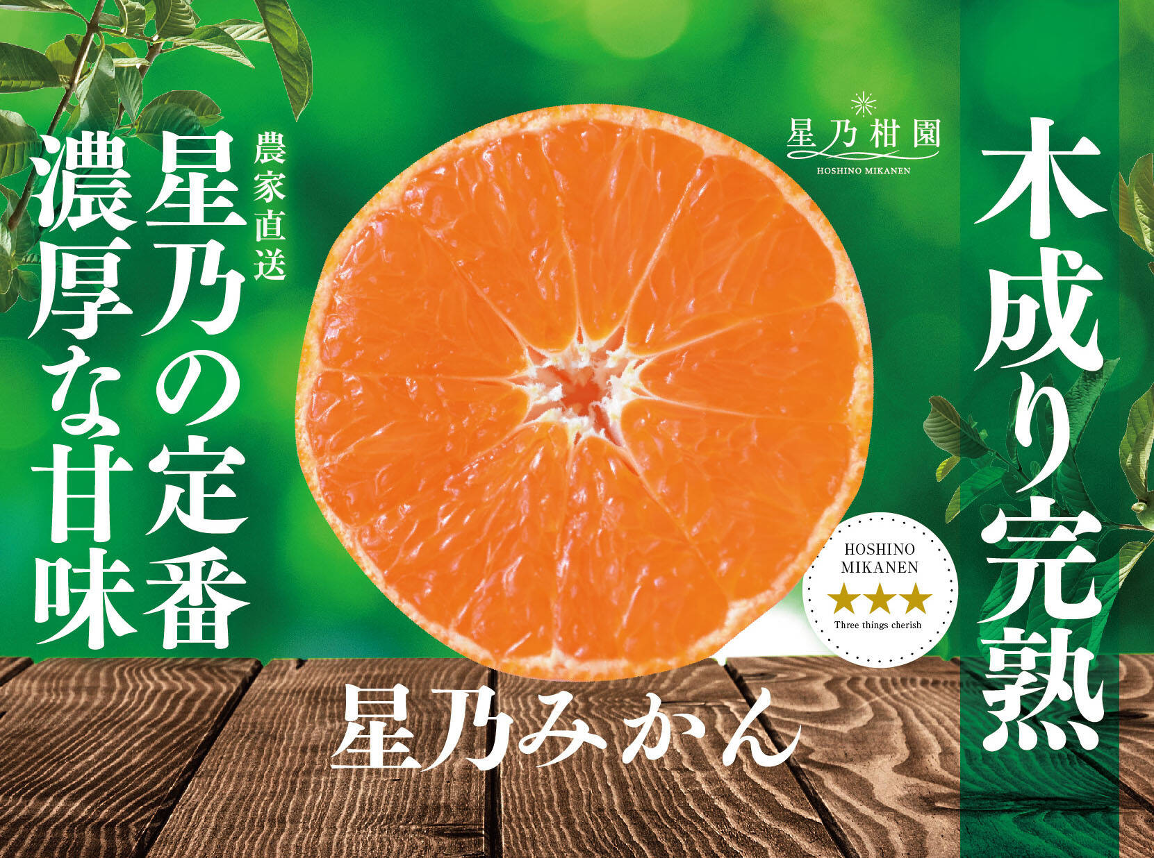 星乃みかん】木成り完熟 愛媛産みかん 5kg：愛媛県産のみかん・柑橘類