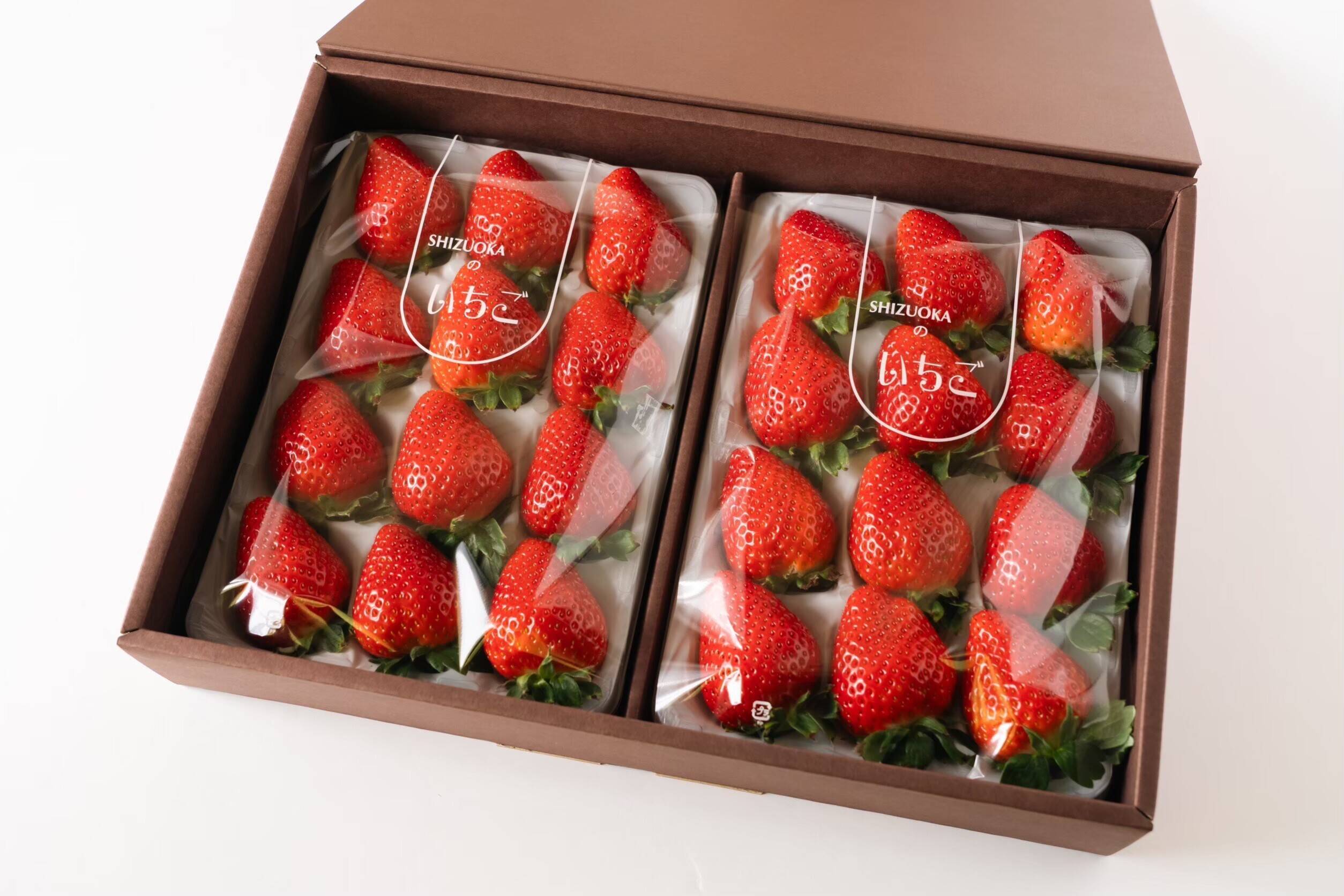 f153b103062a187d46d6904753a808