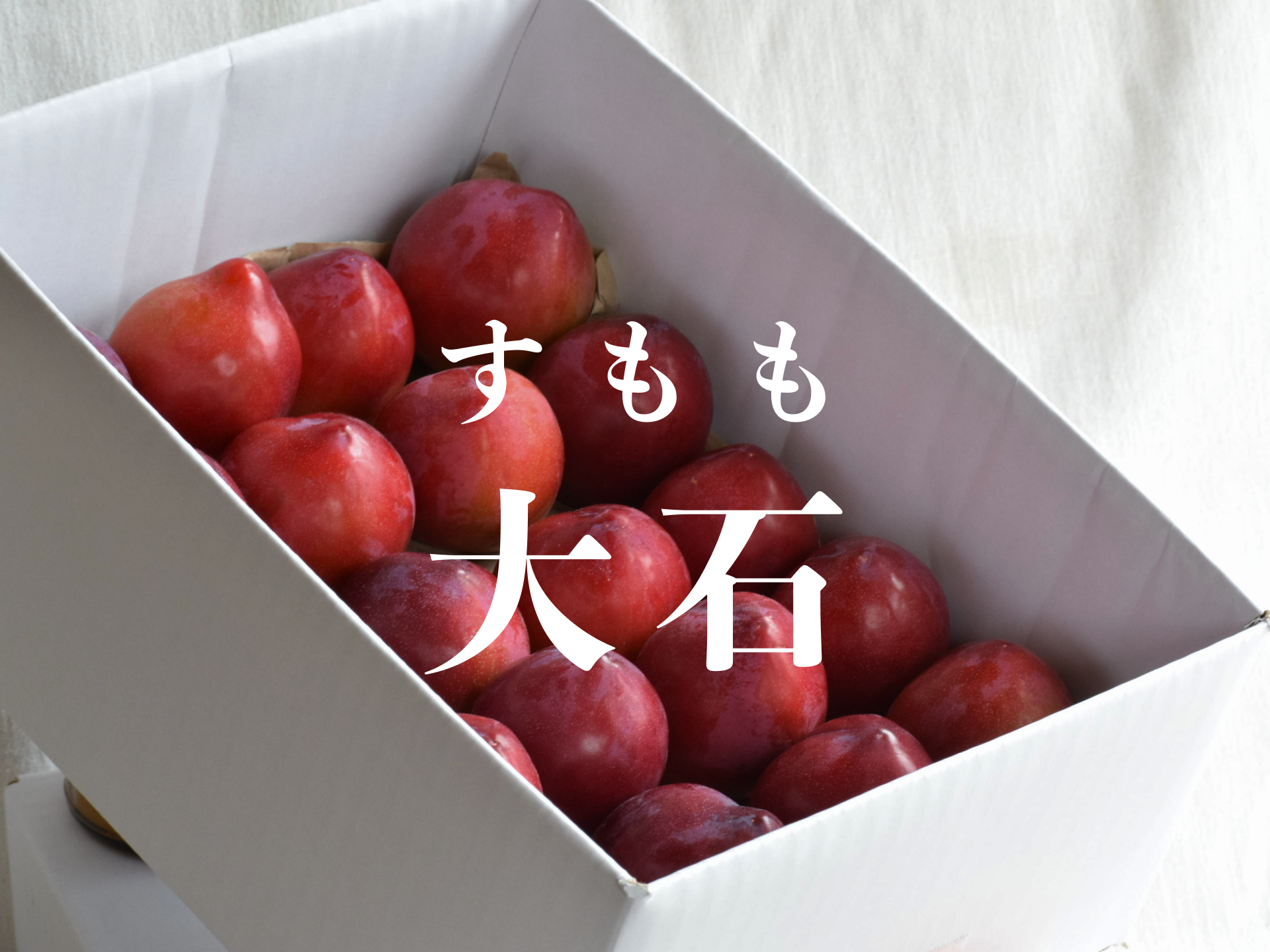 すもも・大石】【朝どれ】くっきり酸味！お菓子作りには絶対コレ！ 3kg 