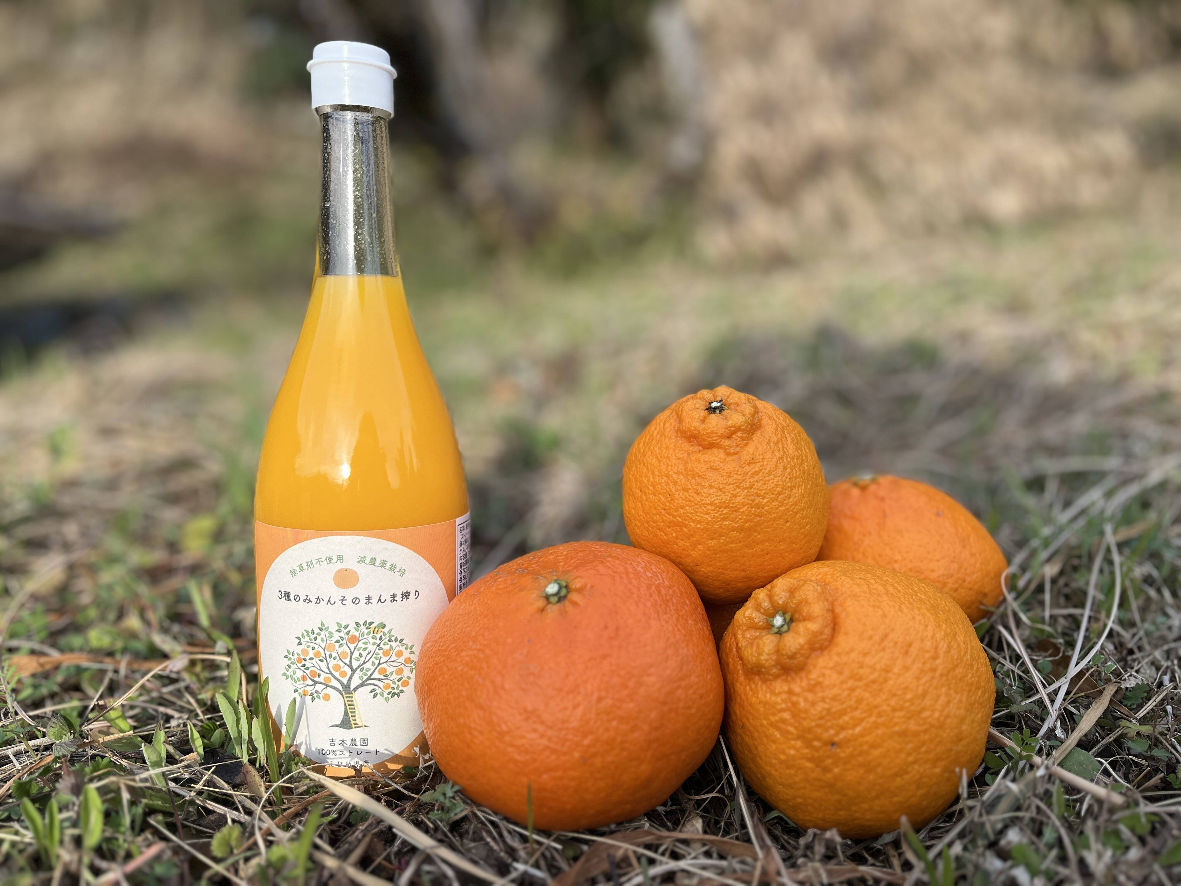 新発売】甘味ギュギュッと！はじけるプチプチ食感！吉本農園の❝甘平