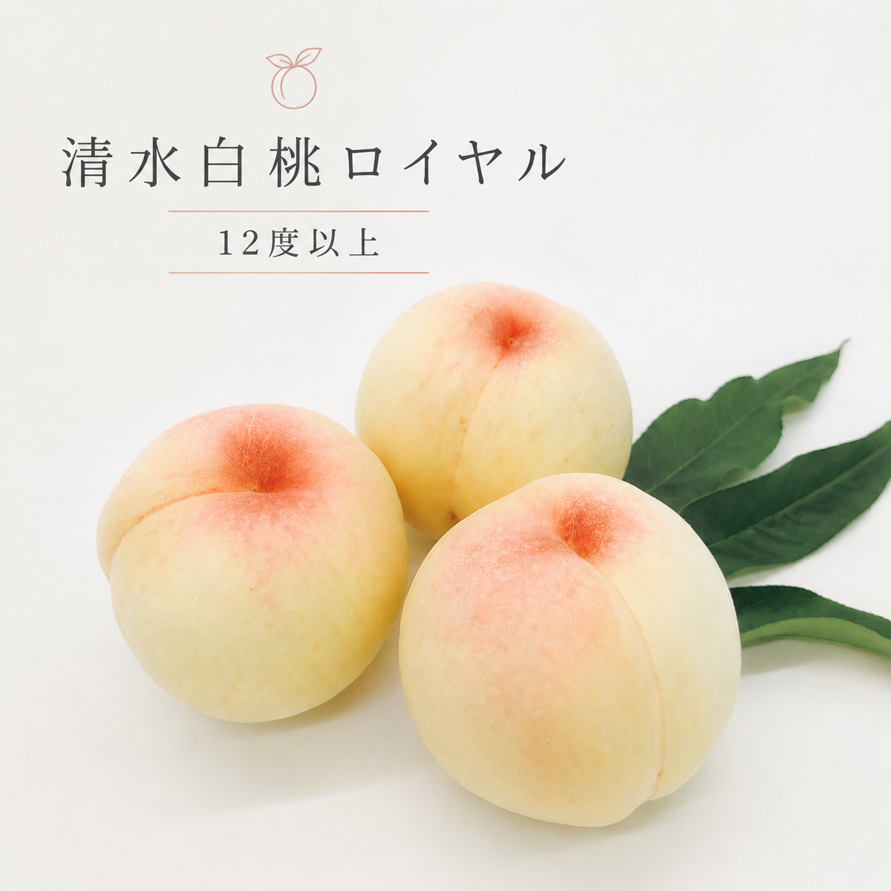 贈答用】【清水白桃ロイヤル】果肉が柔らかくて果汁たっぷり！桃の女王