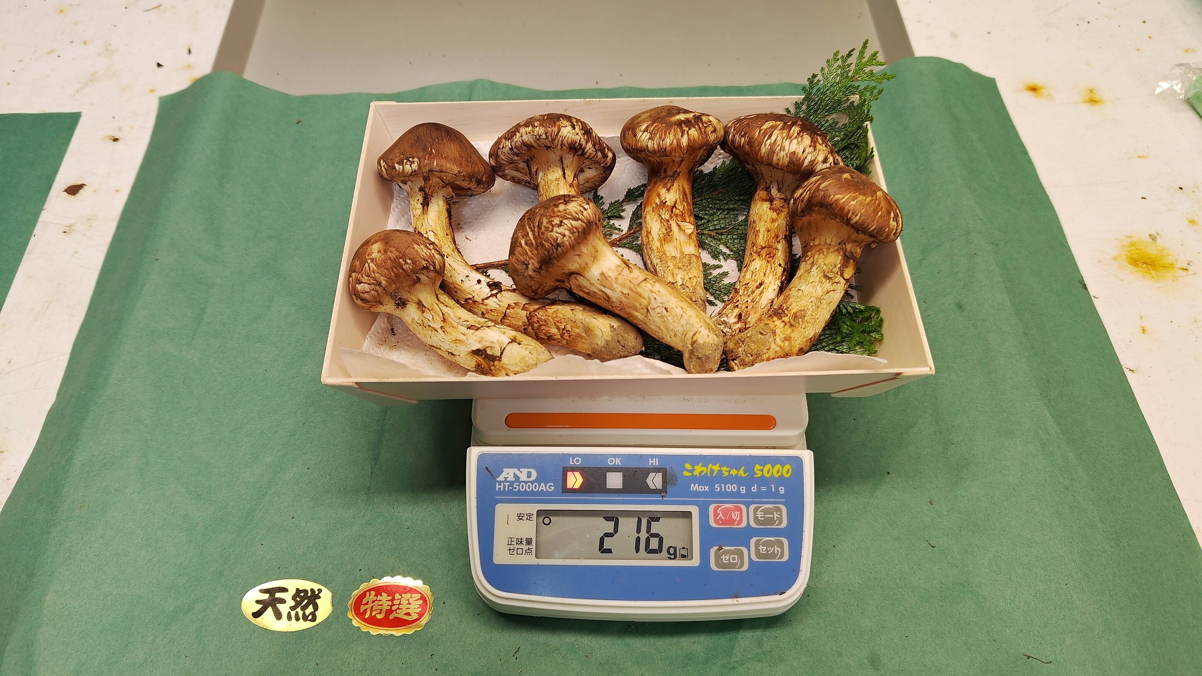 秋の味覚の王様】松茸/マツタケ/まつたけ/純国産/216g【特上】【最短