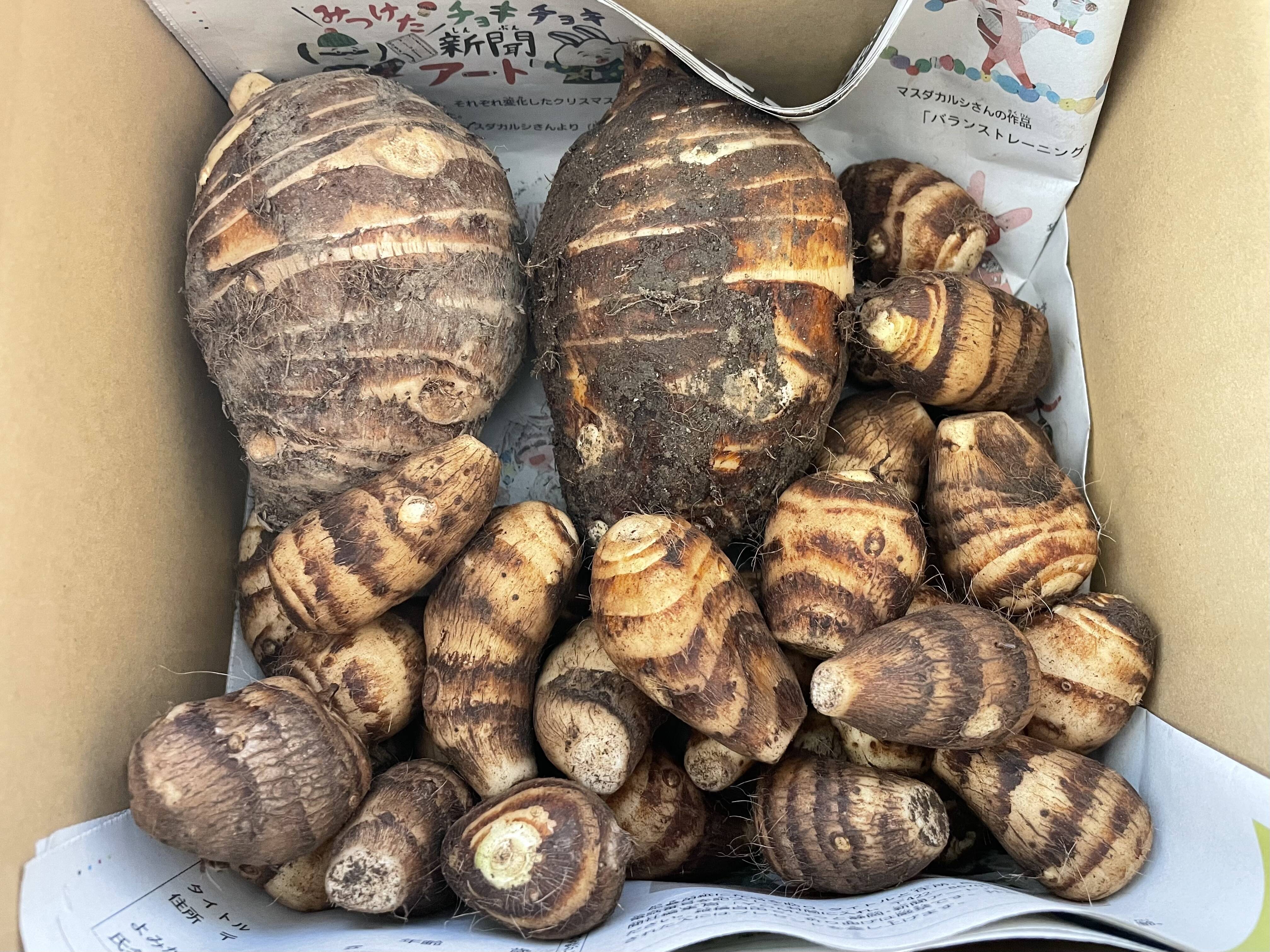 f25884ee3a597e1049b153e12562c2