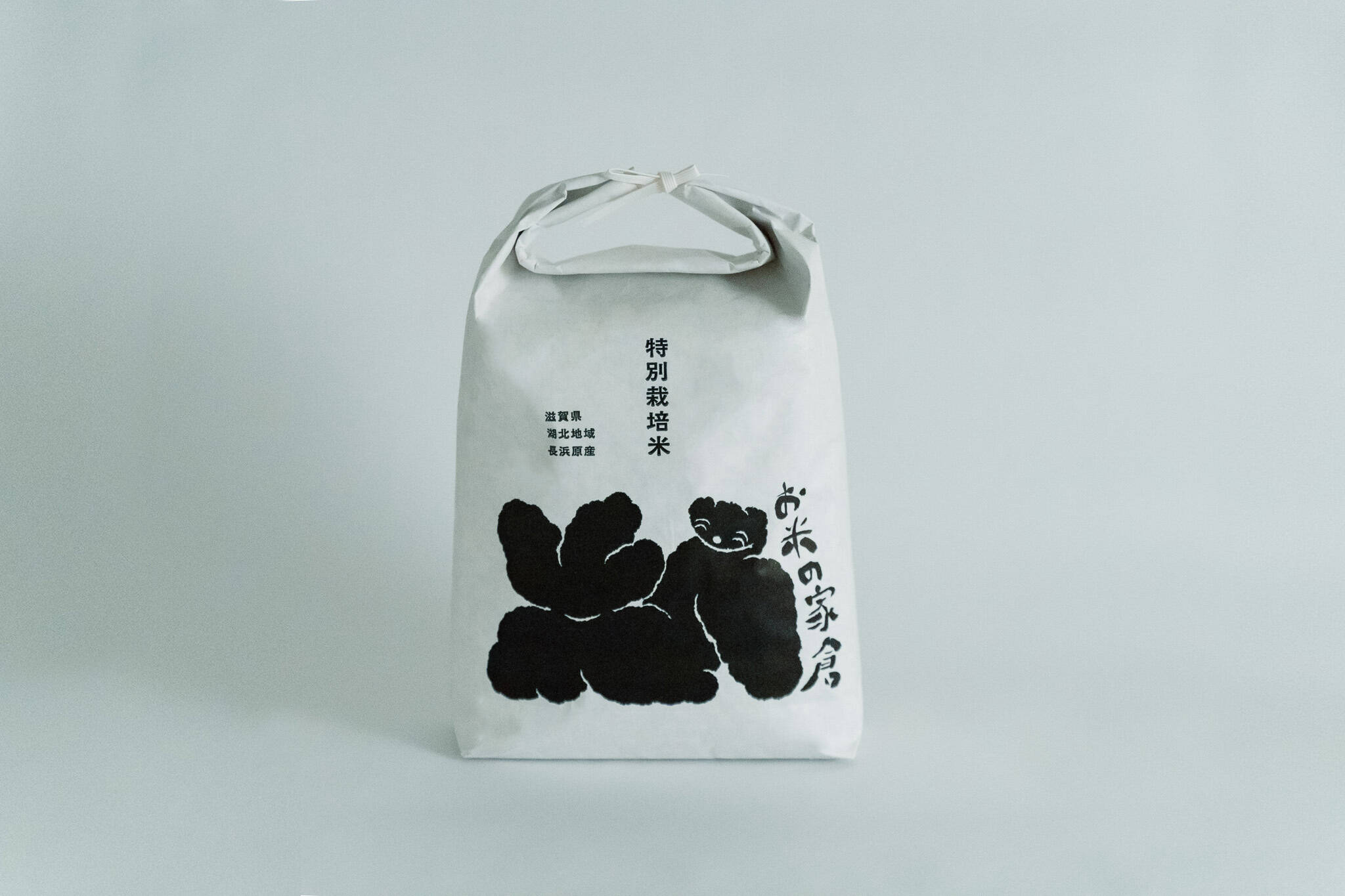 令和6年】粒を感じてしっかりおいしいコシヒカリ4.5kg（30