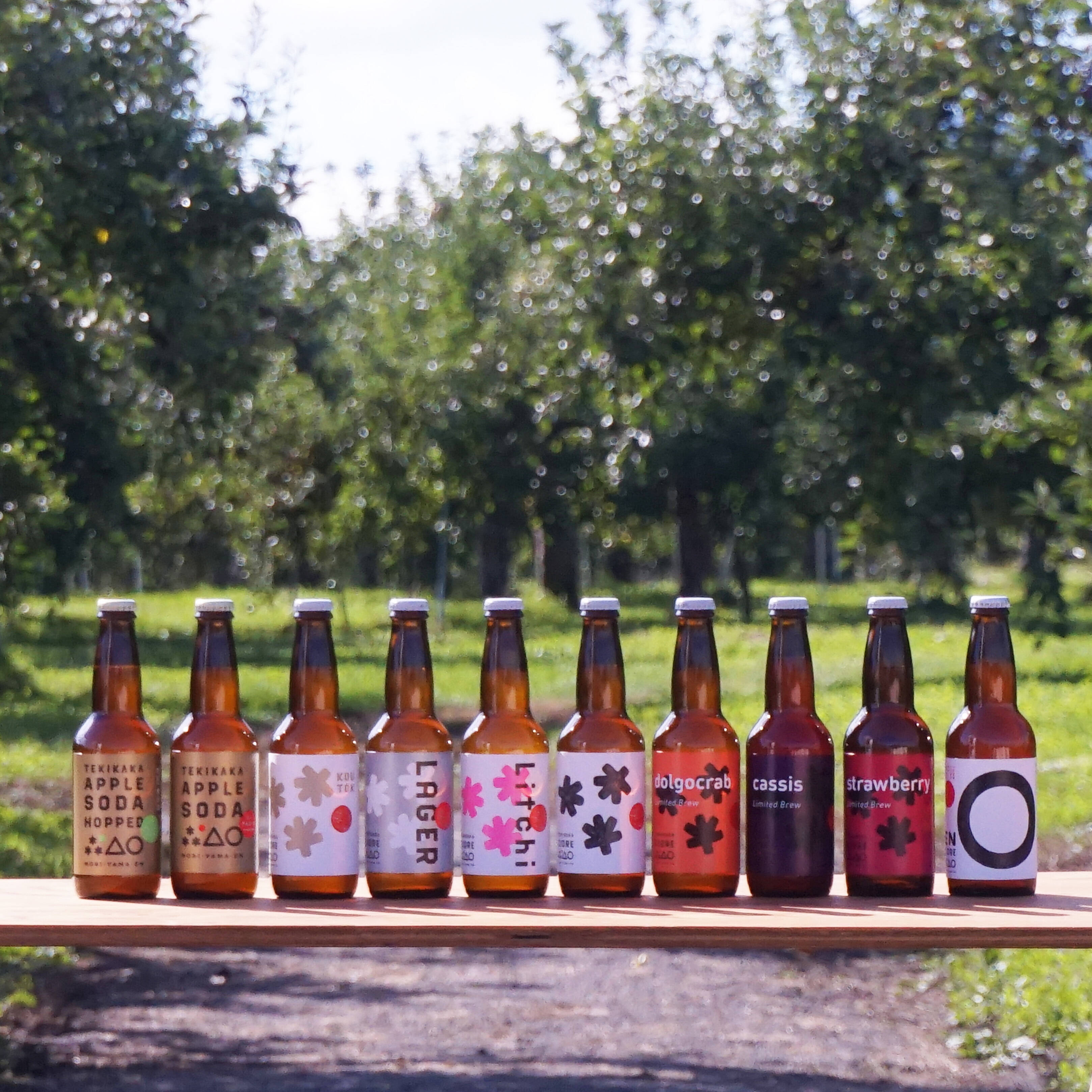 超豪華24本ｾｯﾄ✨りんご園が造るｸﾗﾌﾄｼｰﾄﾞﾙと大人のﾉﾝｱﾙりんご炭酸 全10