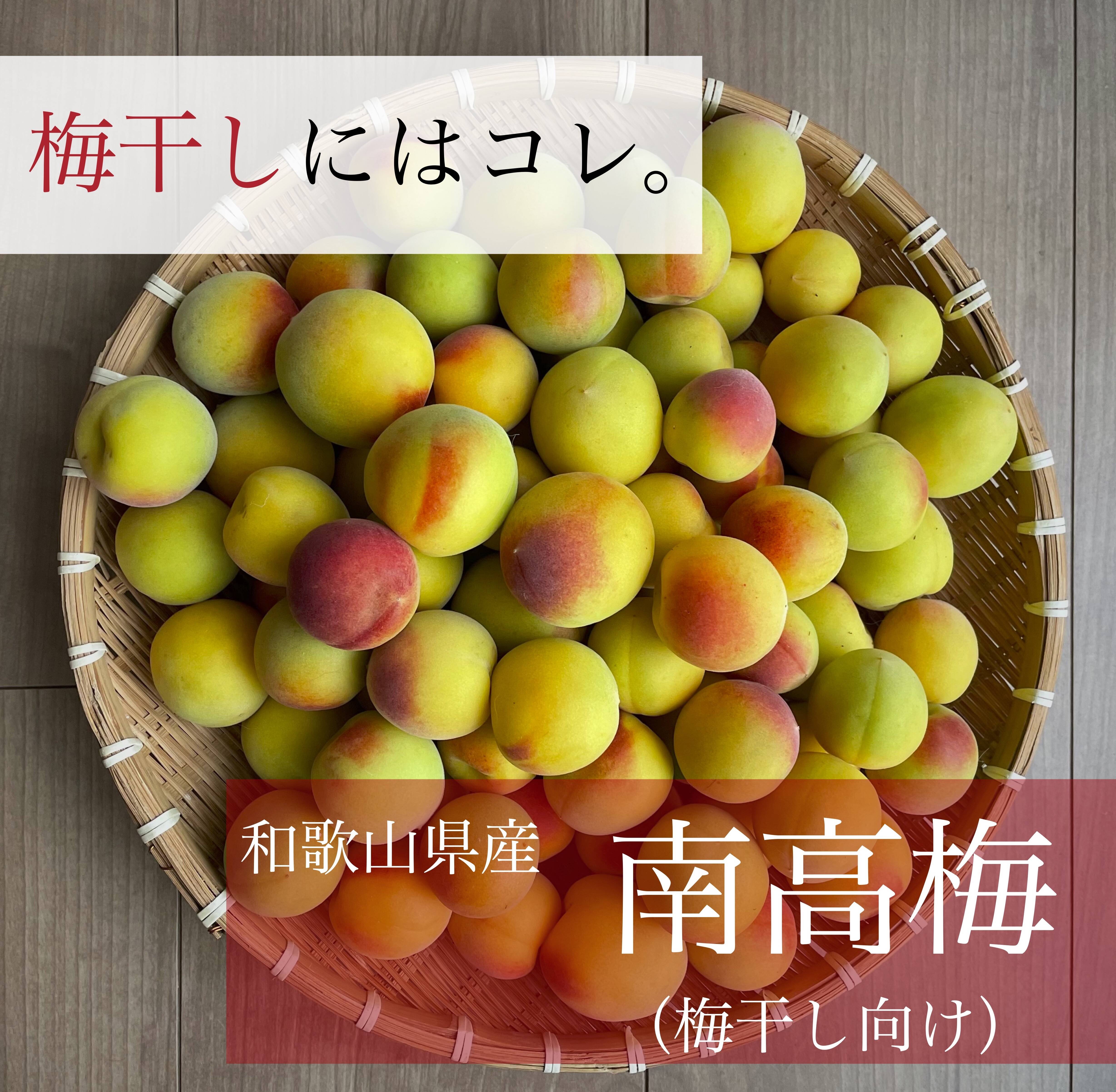 梅のご予約受付をスタートいたしました！🟢🟡💫｜食べチョク｜産地直送