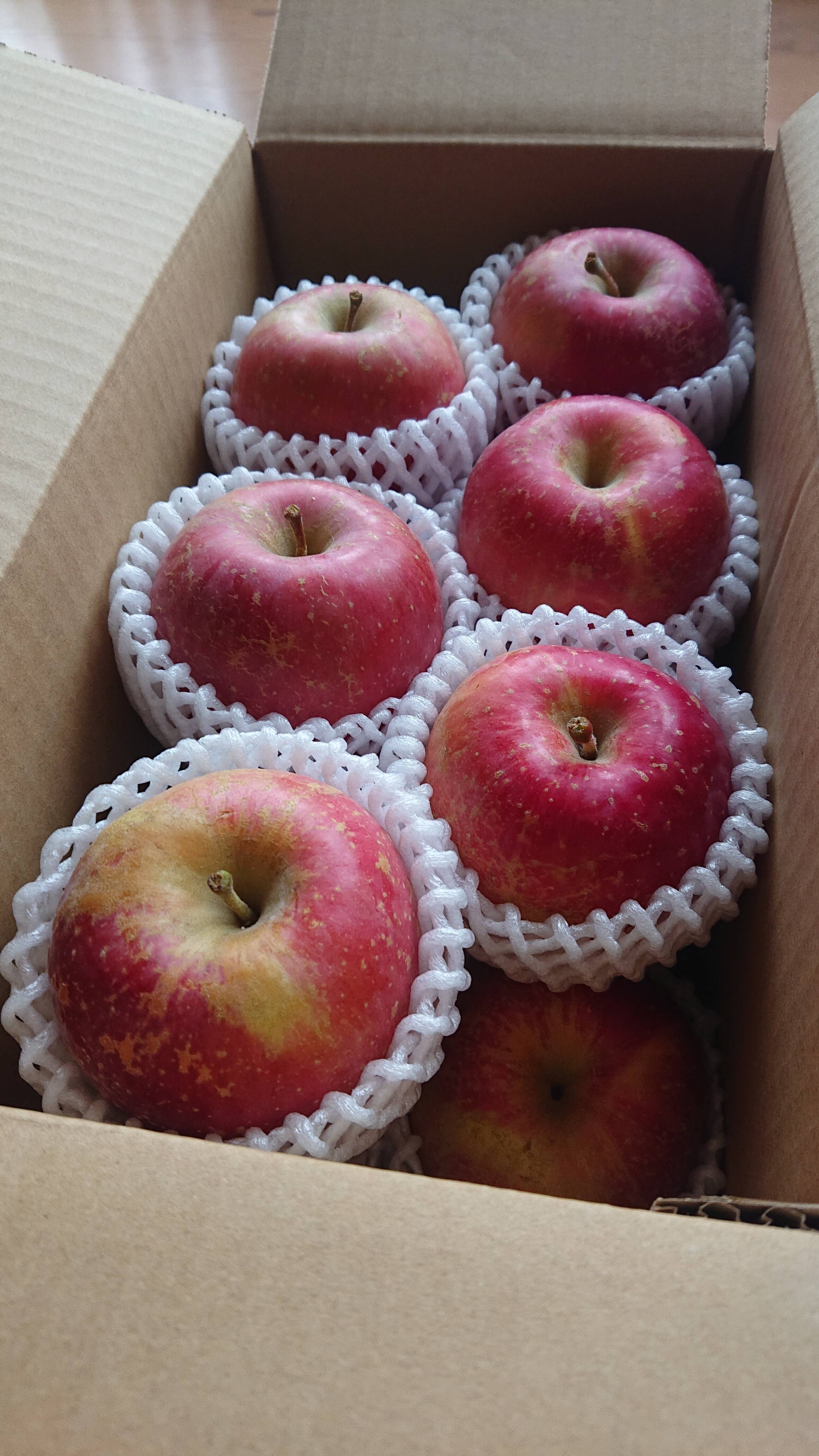🍎サンふじ】 小玉19個 (3.5㎏・家庭用)：宮城県産のふじ｜食べチョク