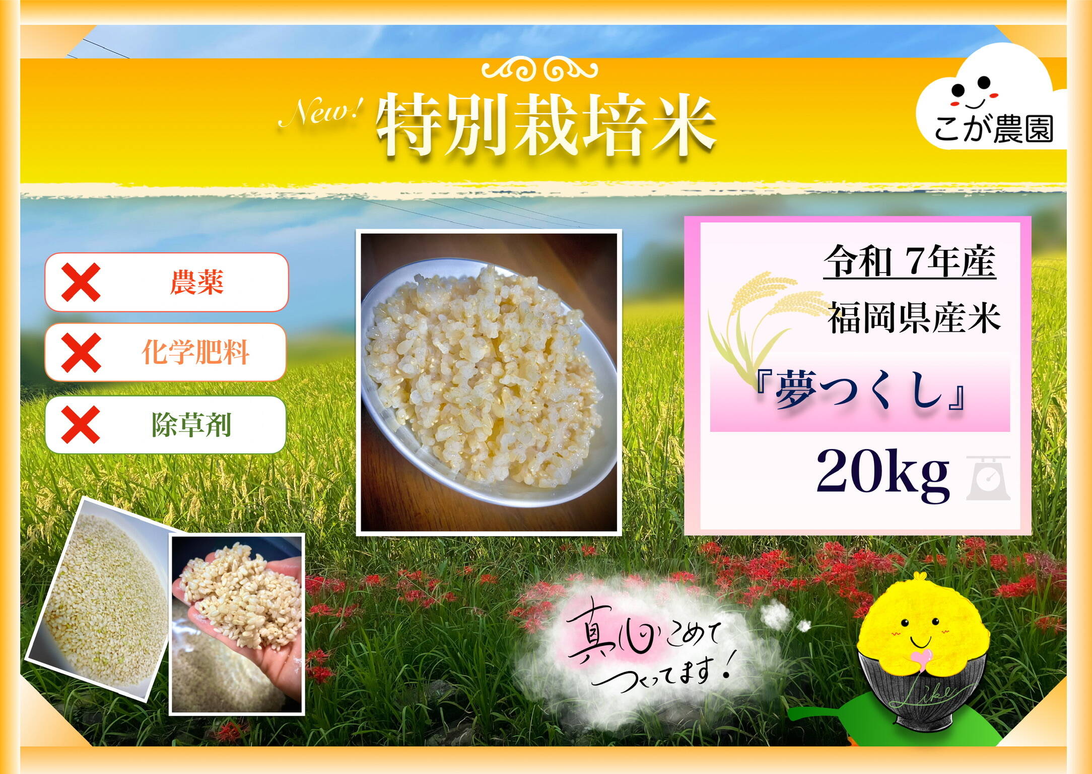 neko1119　福岡県産「夢つくし」令和４年産　玄米　20kg 準自然米 大好評の福岡県産「夢つくし」令和7年産 玄米20kg