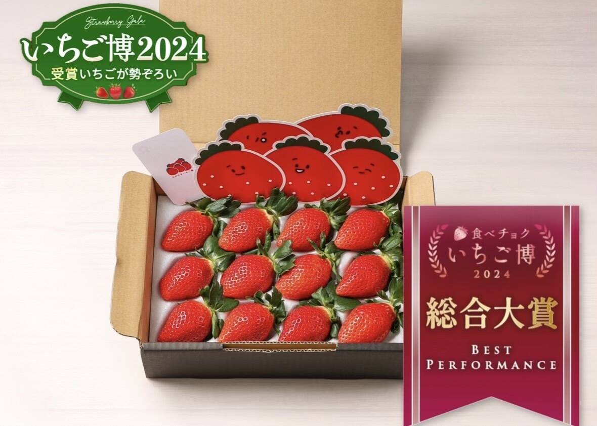 ☆日付指定可能:【いちご博2024総合大賞】新鮮完熟やよいひめ（約400g