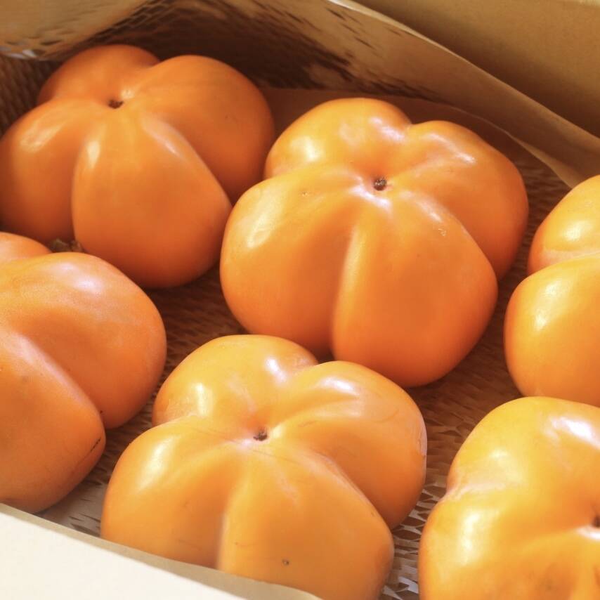 富山の四谷柿（よたんがき）家庭用1.2kg：富山県産のその他柿｜食べ