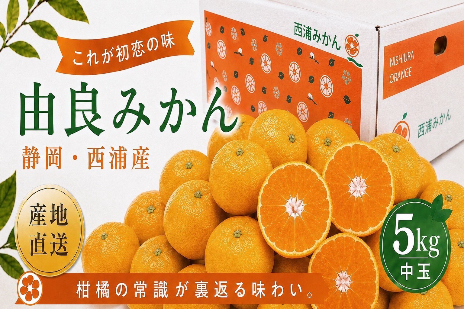 果汁たっぷり、衝撃の味！ 『沼津西浦産』早生みかん 由良 【中玉 5kg