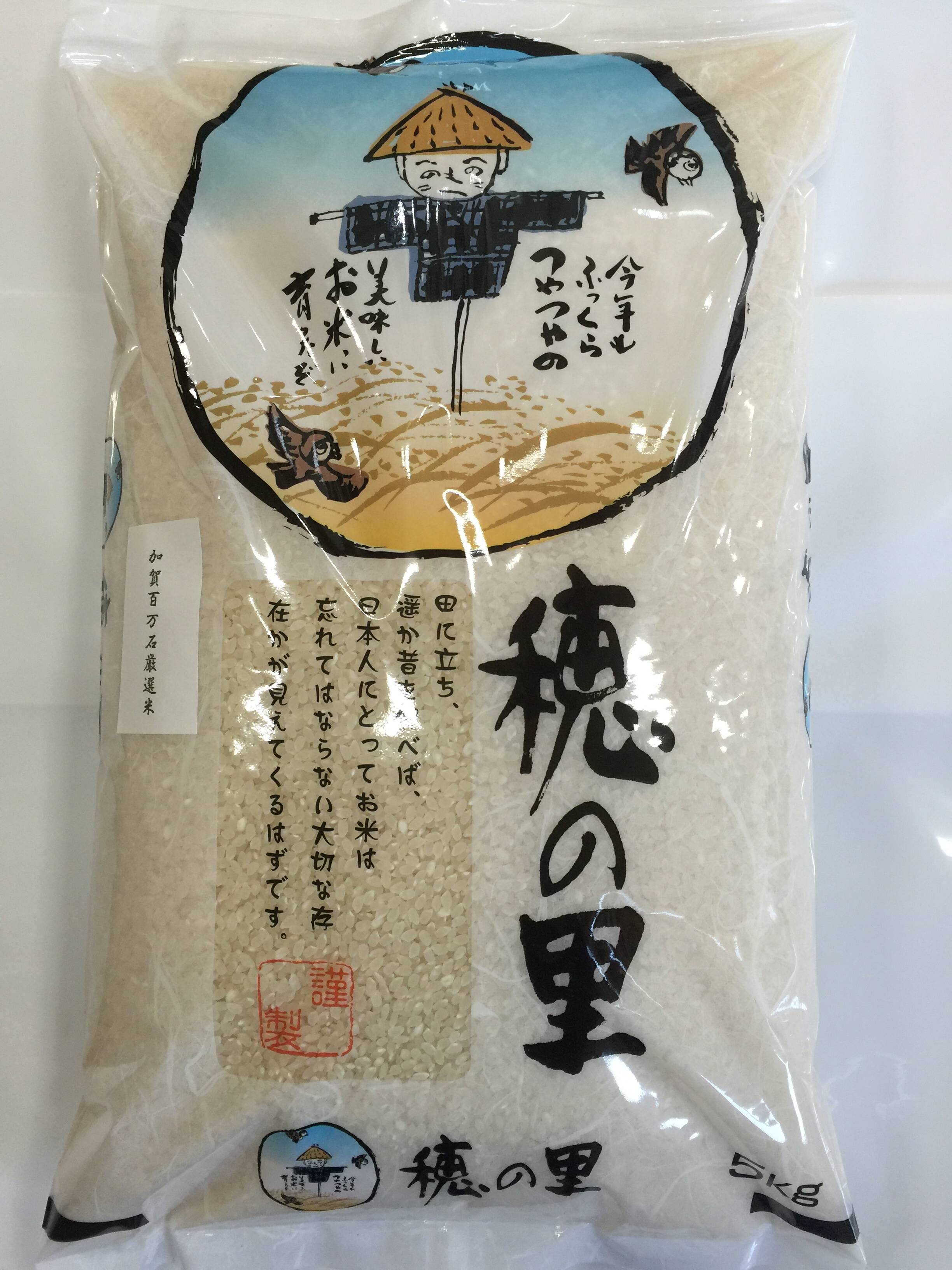 令和7年産 新米 石川県産 厳選コシヒカリ 白米 5kg：石川県産のお米
