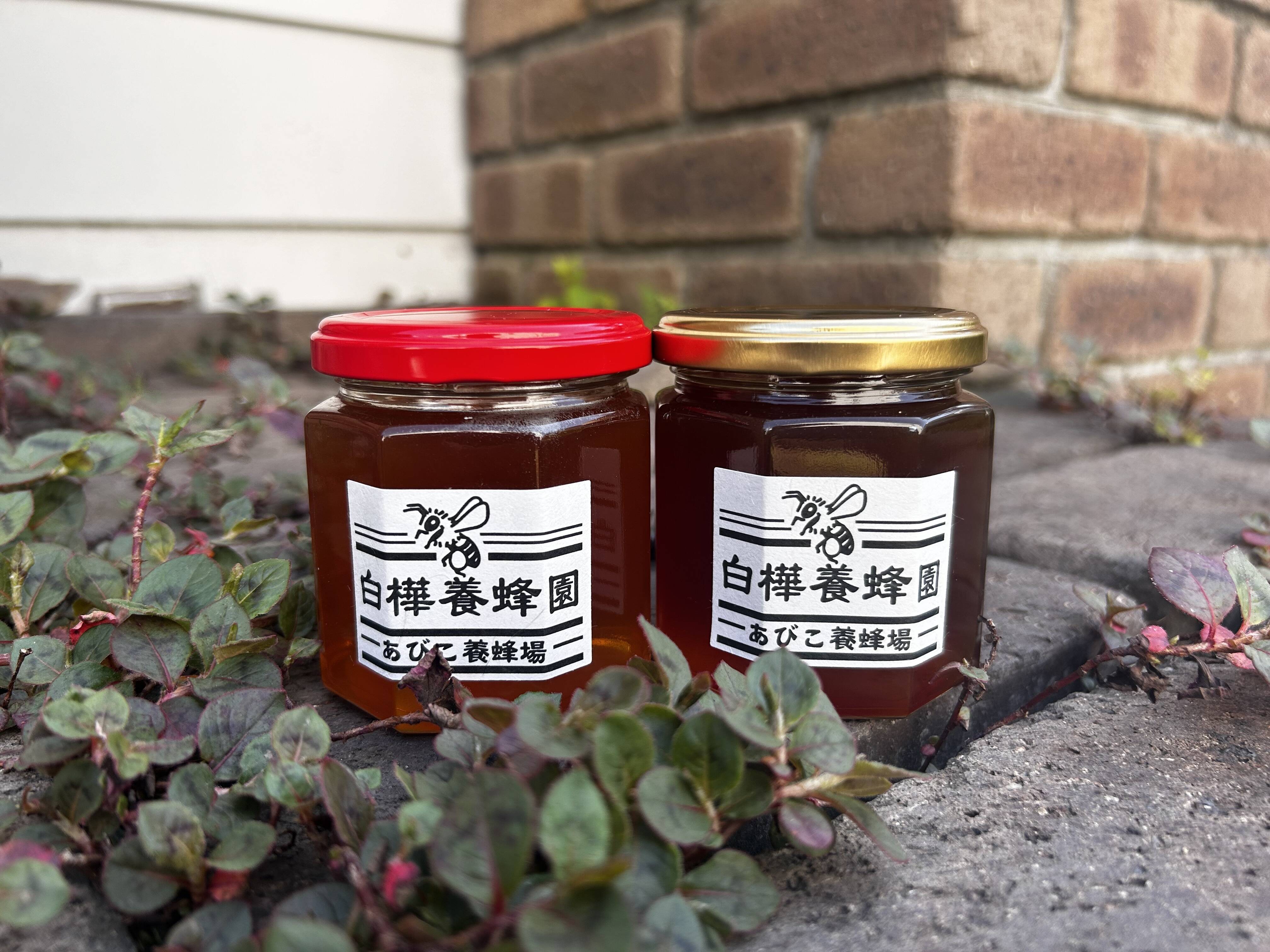 日本.西洋蜜蜂セット価格 蜂蜜純粋