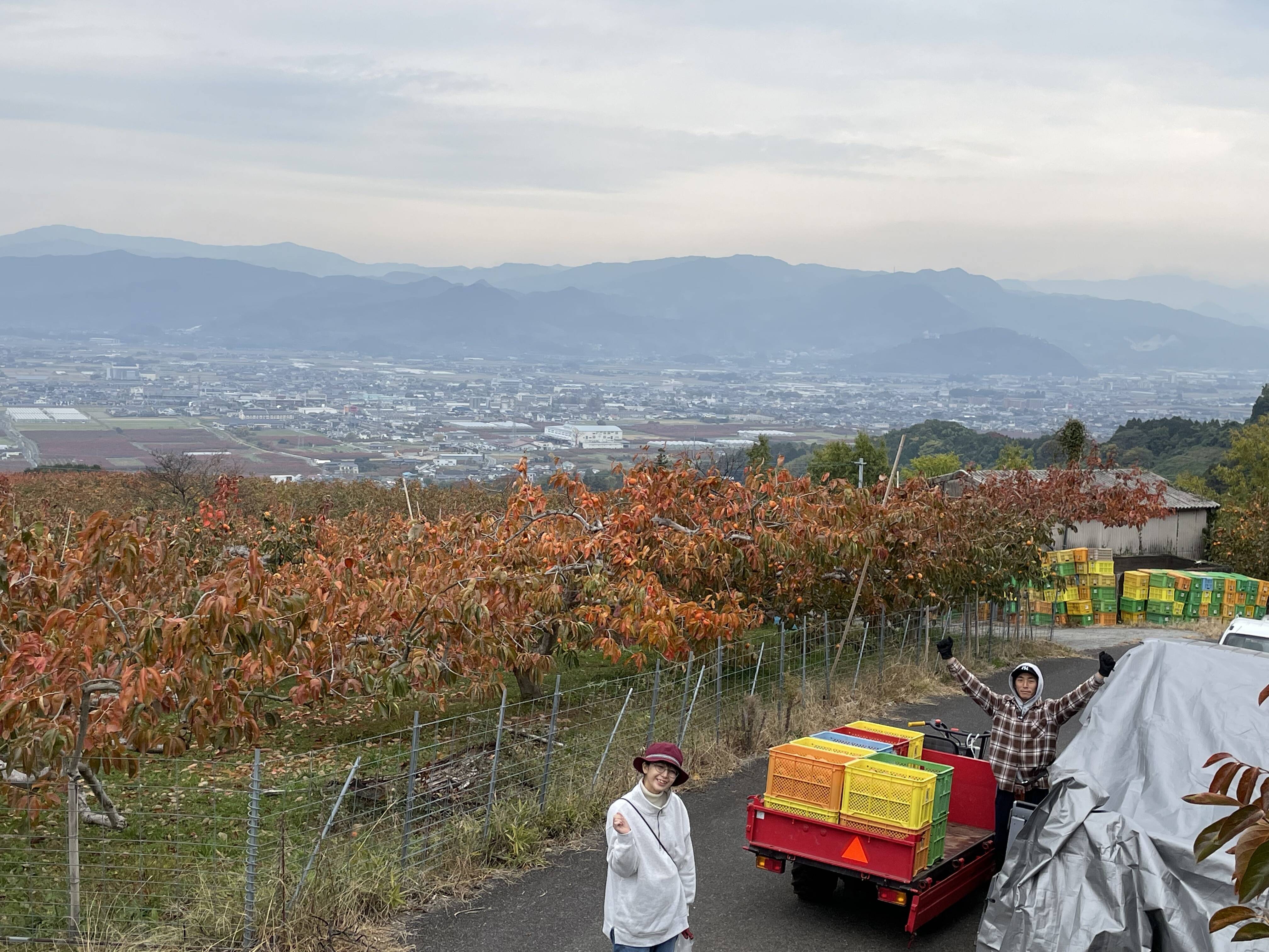 西見柿農園へのレビュー・商品：福岡県｜食べチョク｜産地直送(産直)お