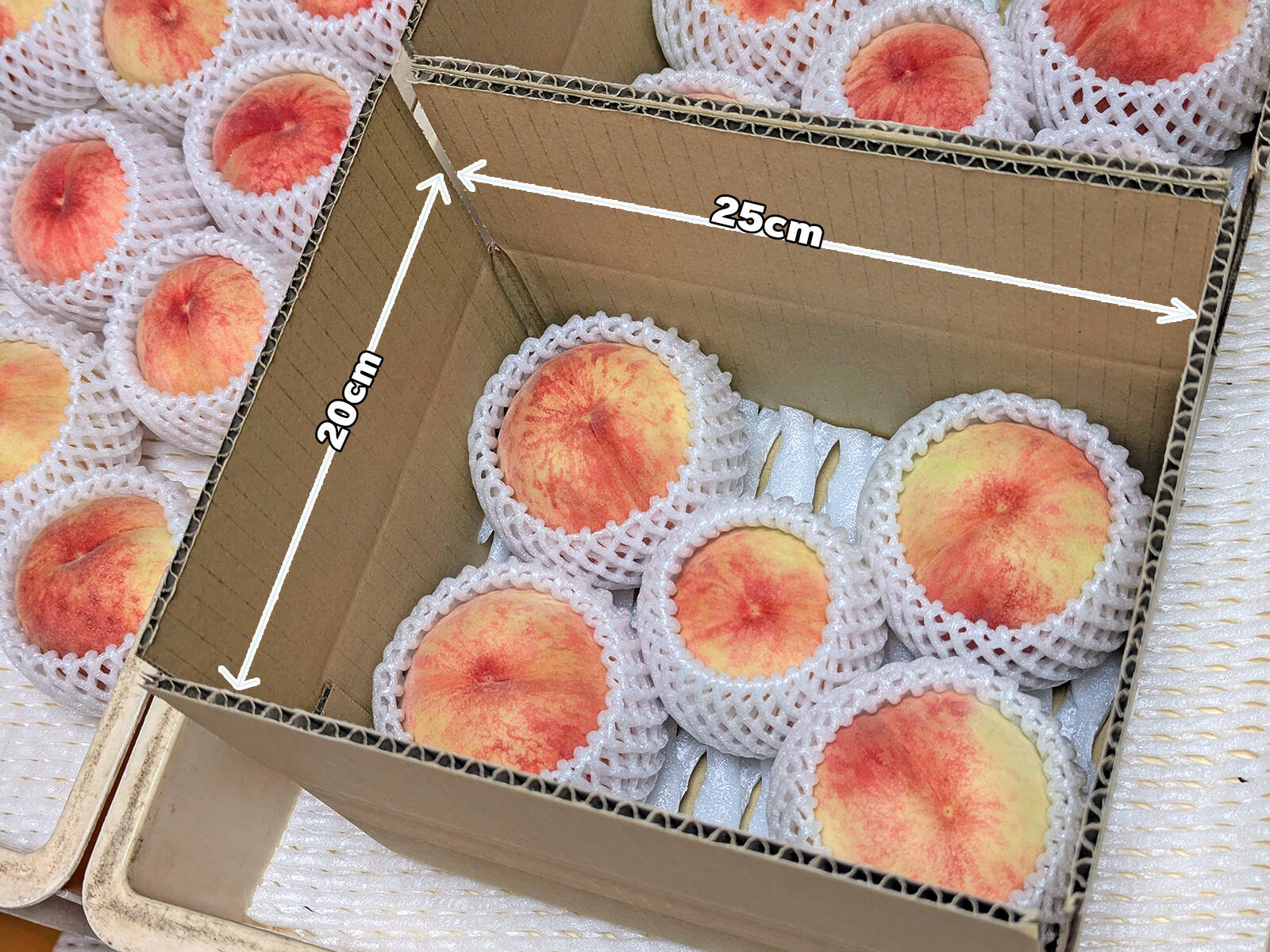 安曇野産の桃】3箱限定！「あかつき」5玉セット（約1.4kg）：長野県産