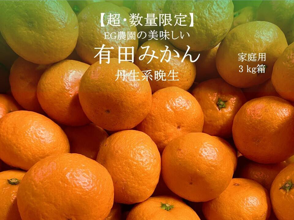 ②温州みかん 樹熟大坊みかん 優品(家庭用傷あり)2S、Sサイズ10kg 楽天市場】大 坊 みかんの通販