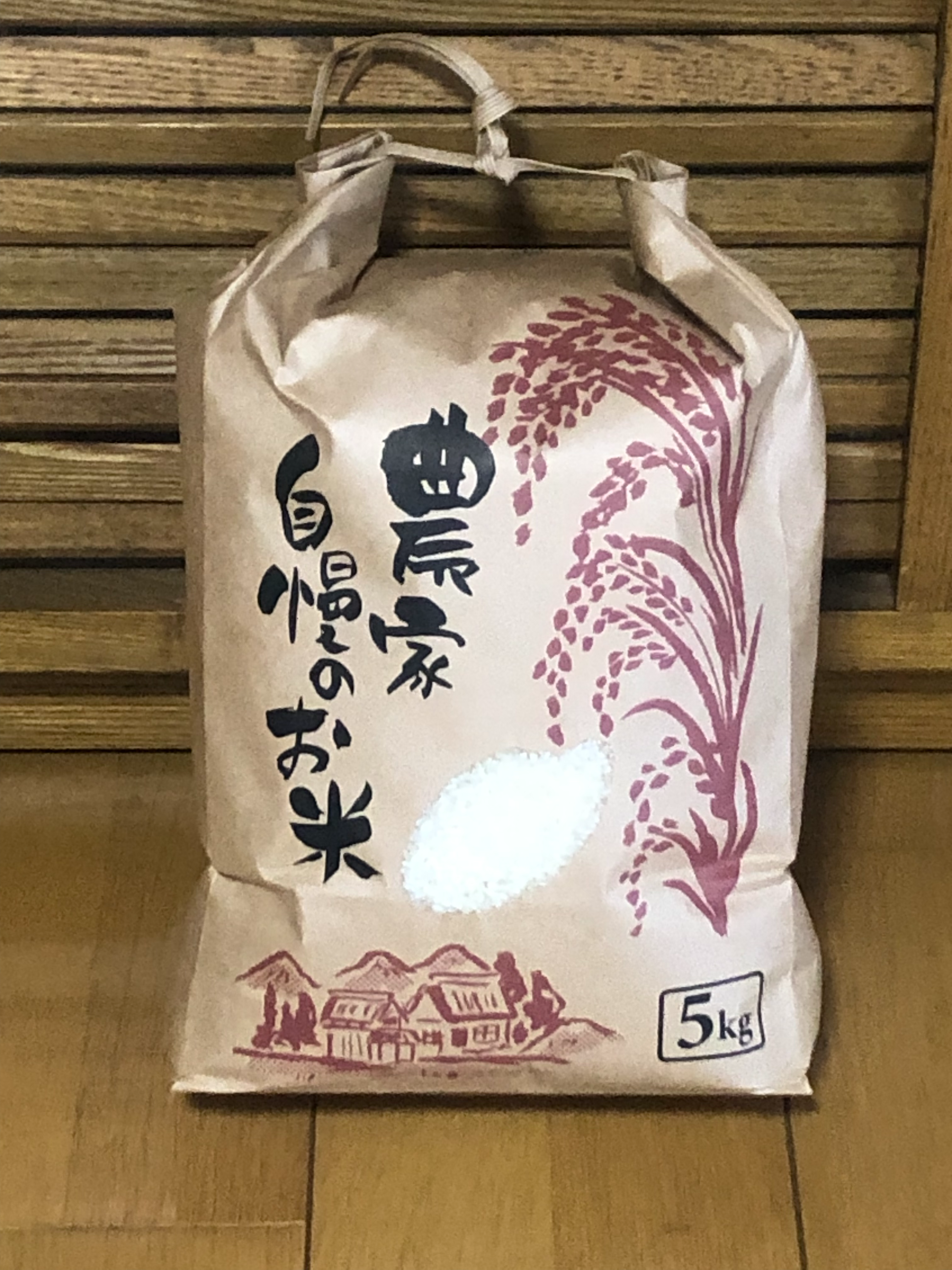 石川県能登産　令和6年度産　単一原料米　コシヒカリ　5kg　3点　15kg　③ 石川県能登産 令和6年度産 単一原料米 コシヒカリ 5kg 3