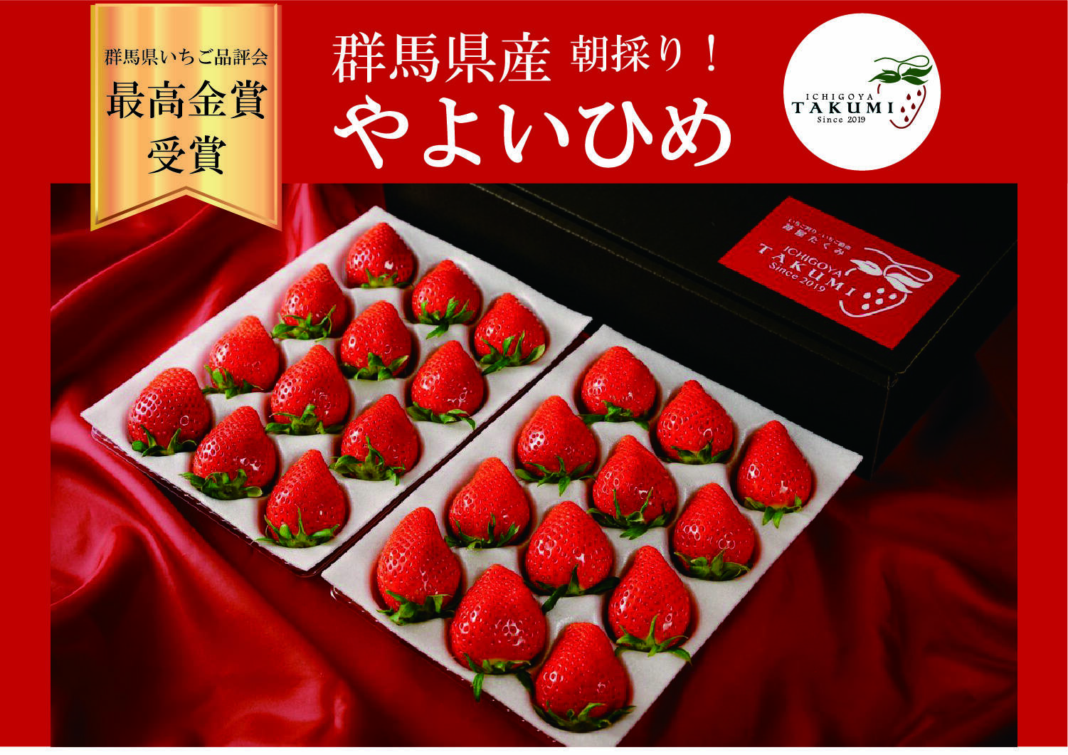 贈答用】「群馬県いちご品評会最高金賞受賞」朝採れいちご 2箱