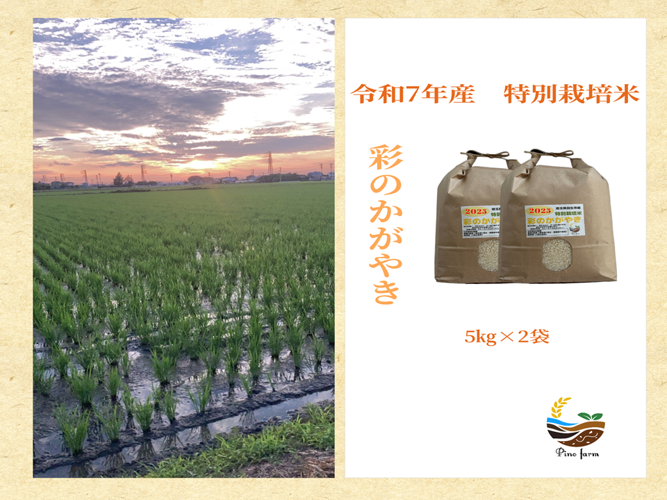 R7年産特別栽培米 彩のかがやき 10㎏：埼玉県産の彩のかがやき｜食べ