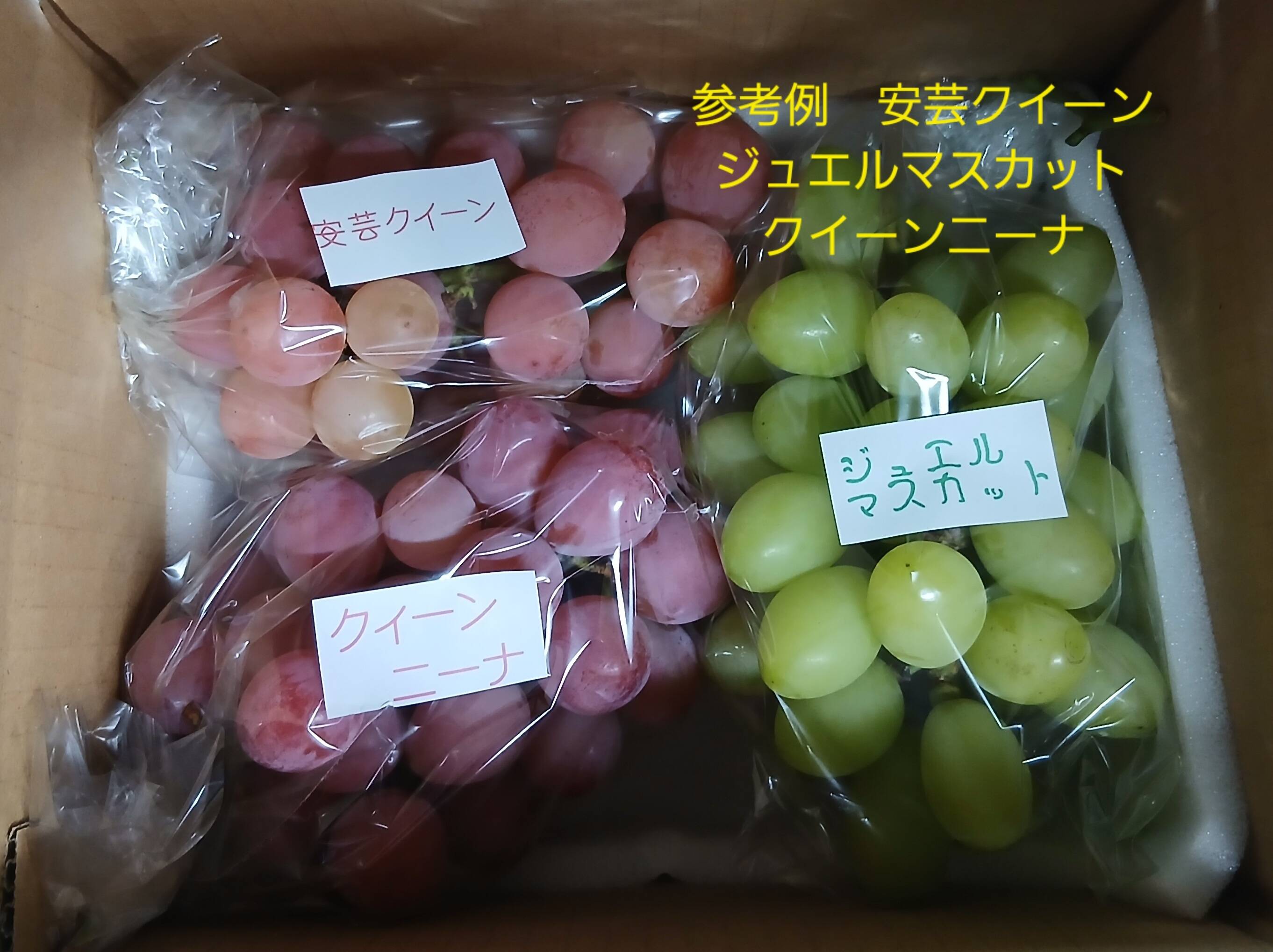 訳あり】品種おまかせ 山梨県産ぶどう1kg【2～5房】 ご家庭用に