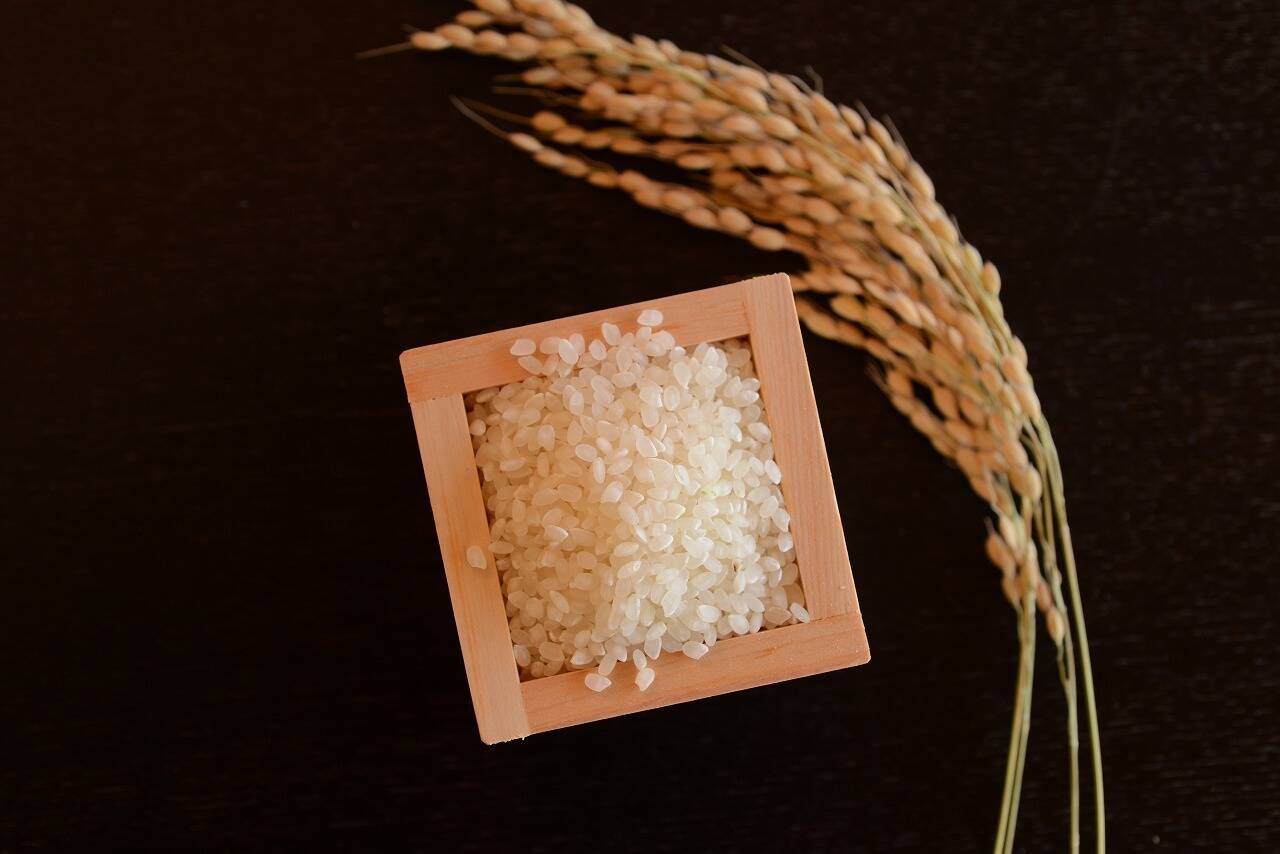 新米】一等米【精米2kg & 玄米2kg】特栽培米コシヒカリ【80サイズ】 令