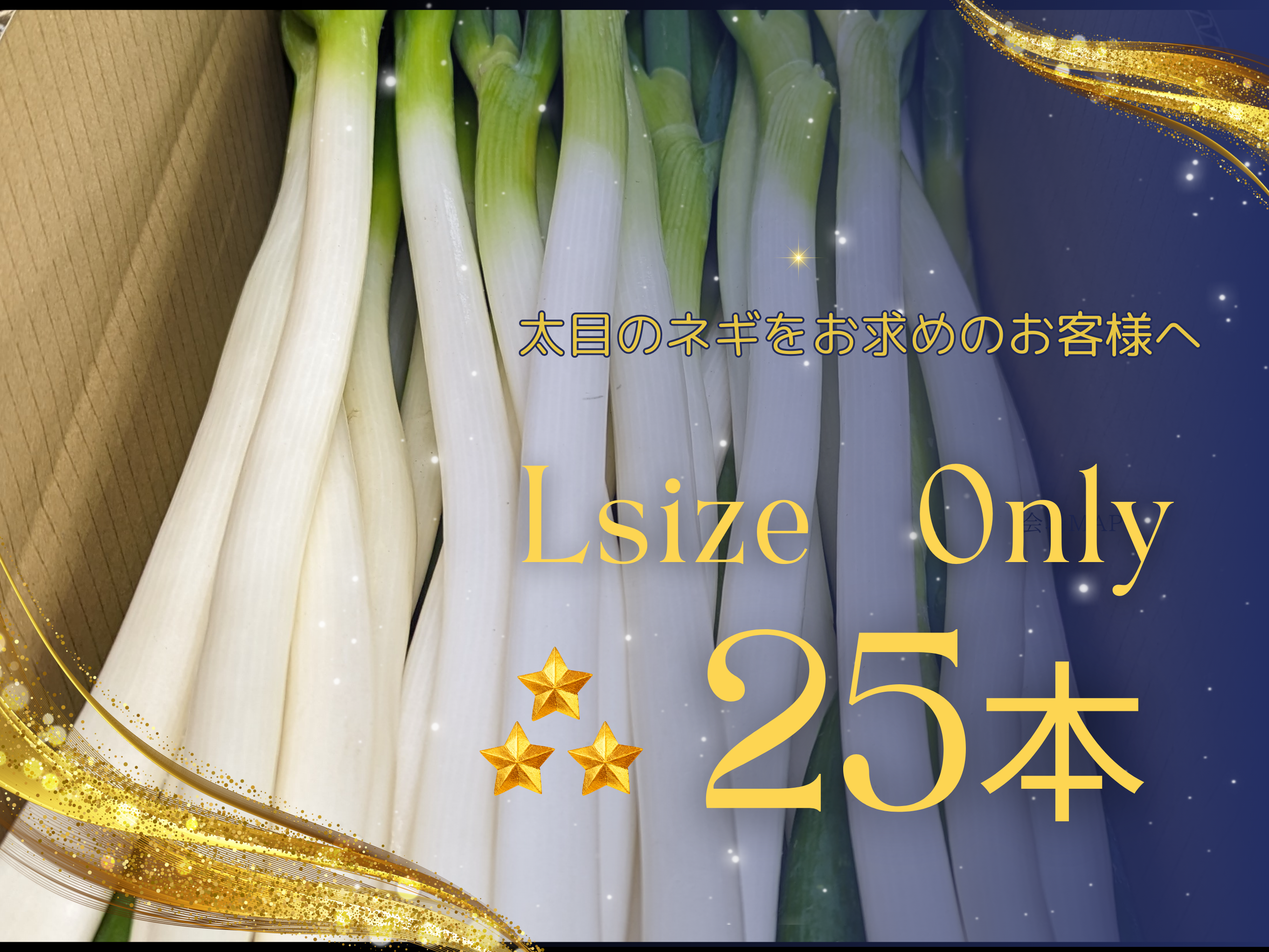 トロっとしてうまくて甘い白ネギ！ Lサイズ（25本）：静岡県産のねぎ